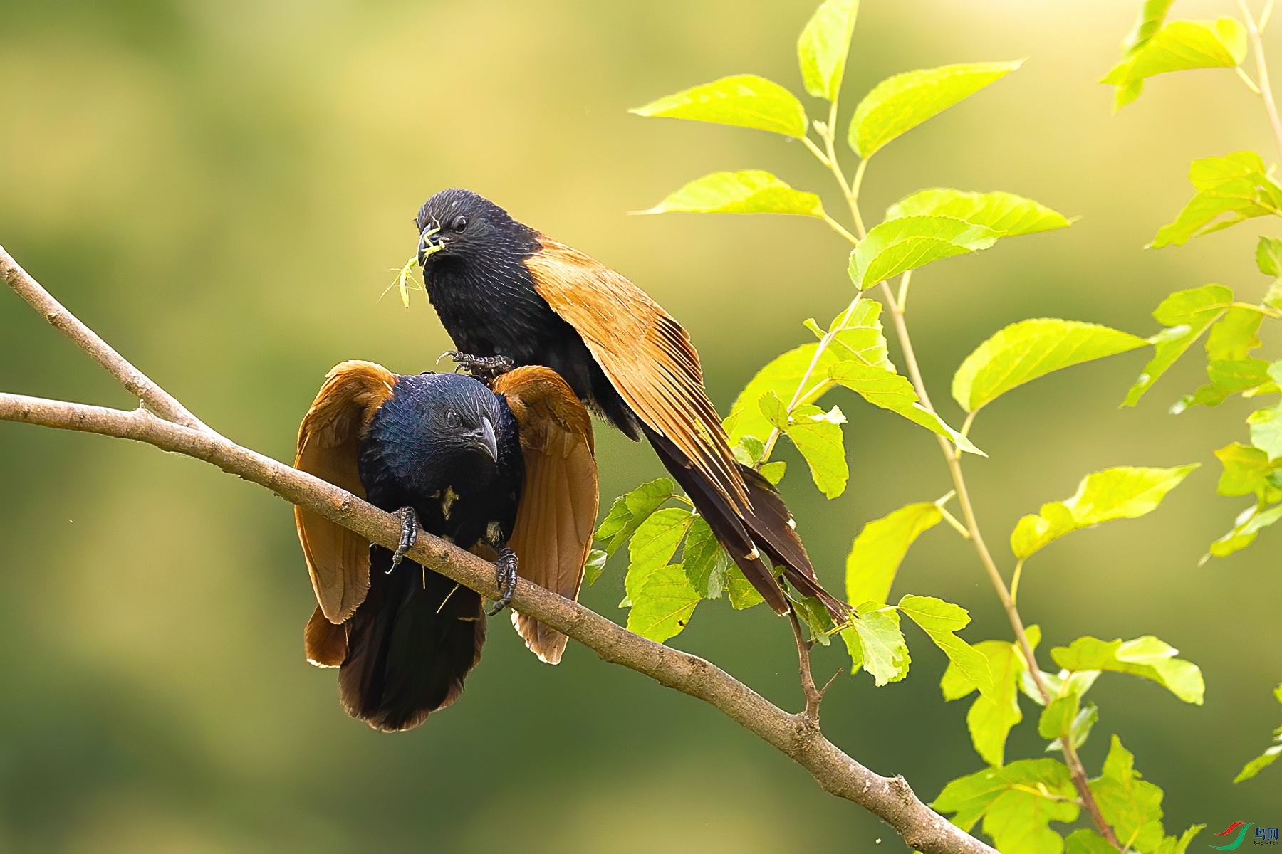 ����ʱ��