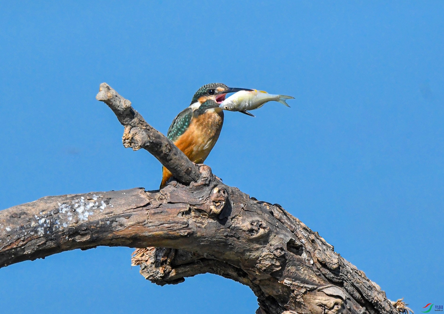 DSC_8313_��ͼ�� ����.jpg