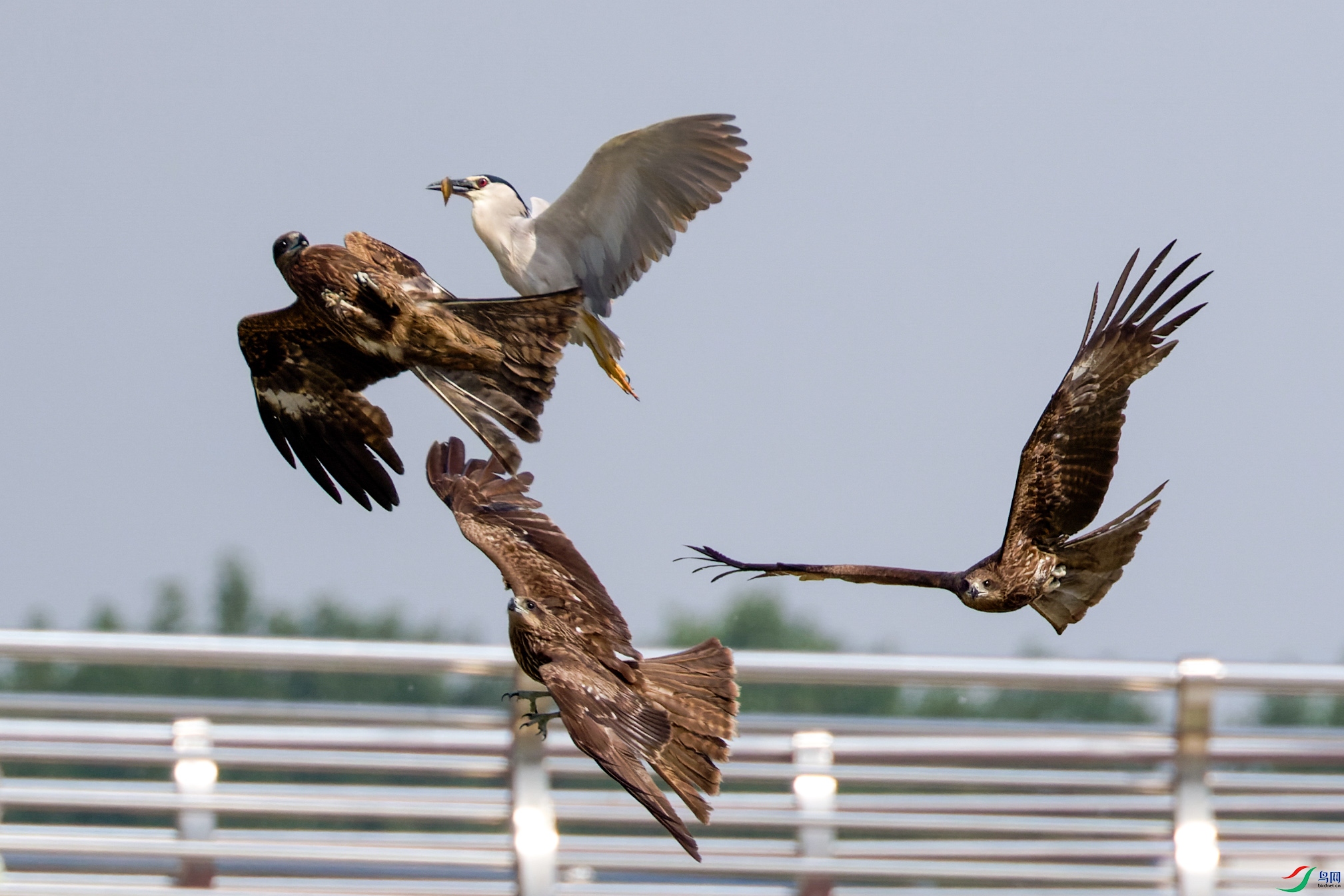 7D2_6714-CR2_DxO_DeepPRIME-1.jpg