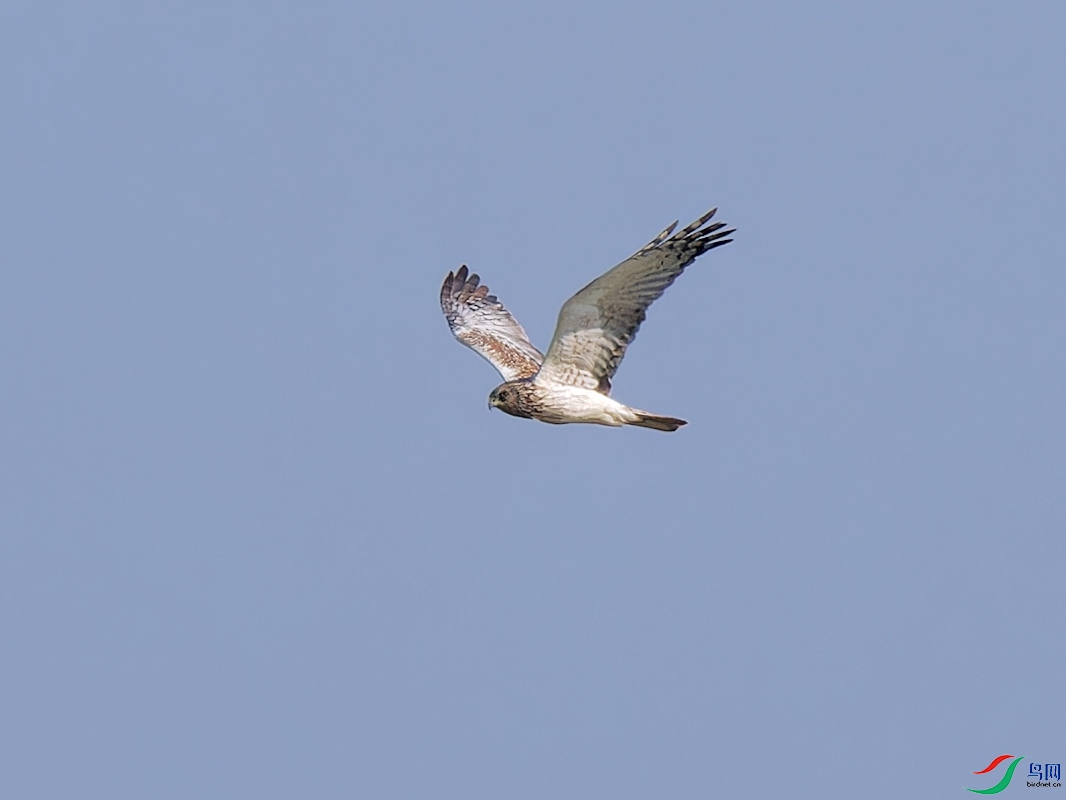 P9204484_DxO.jpg