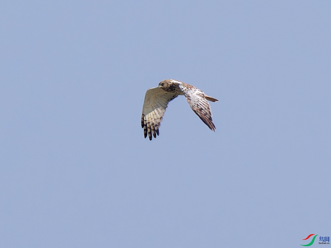 P9204488_DxO.jpg
