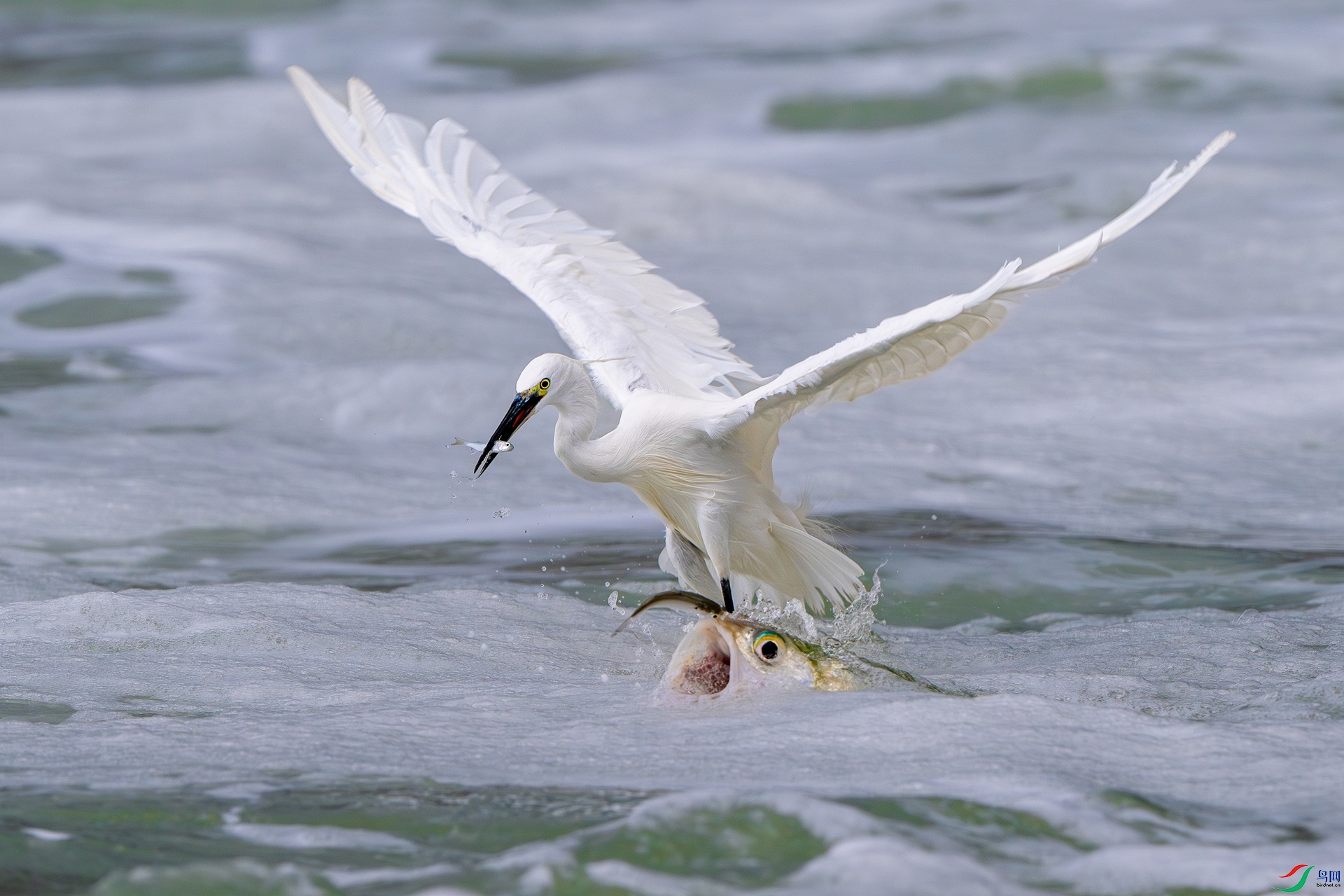 DSR_7016 ��ȡ����.jpg