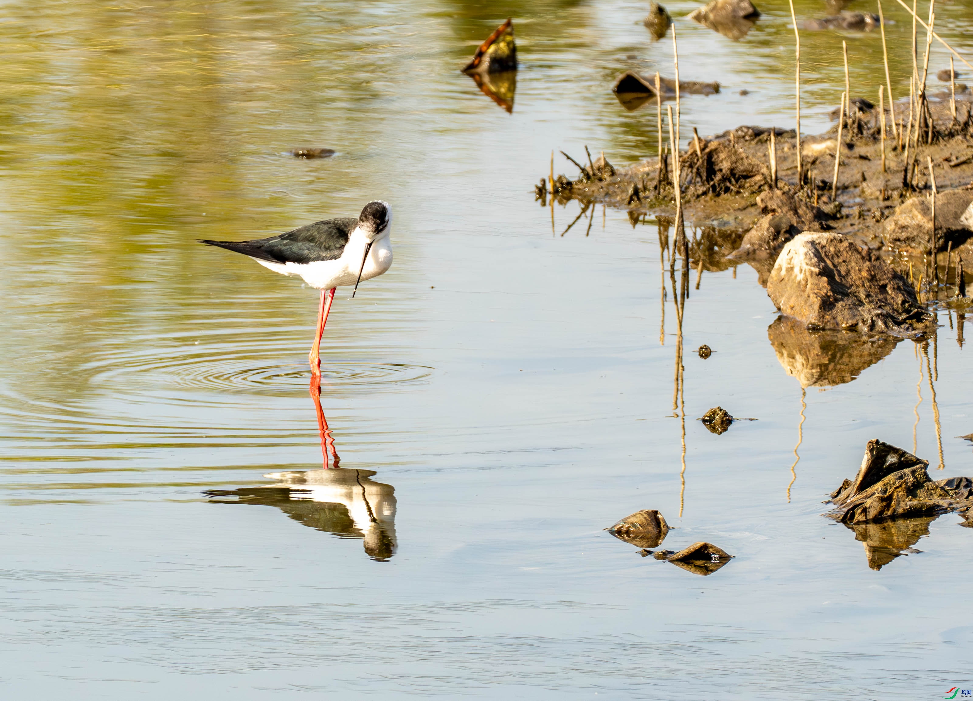 �ڳ᳤���� (7 - 21).jpg