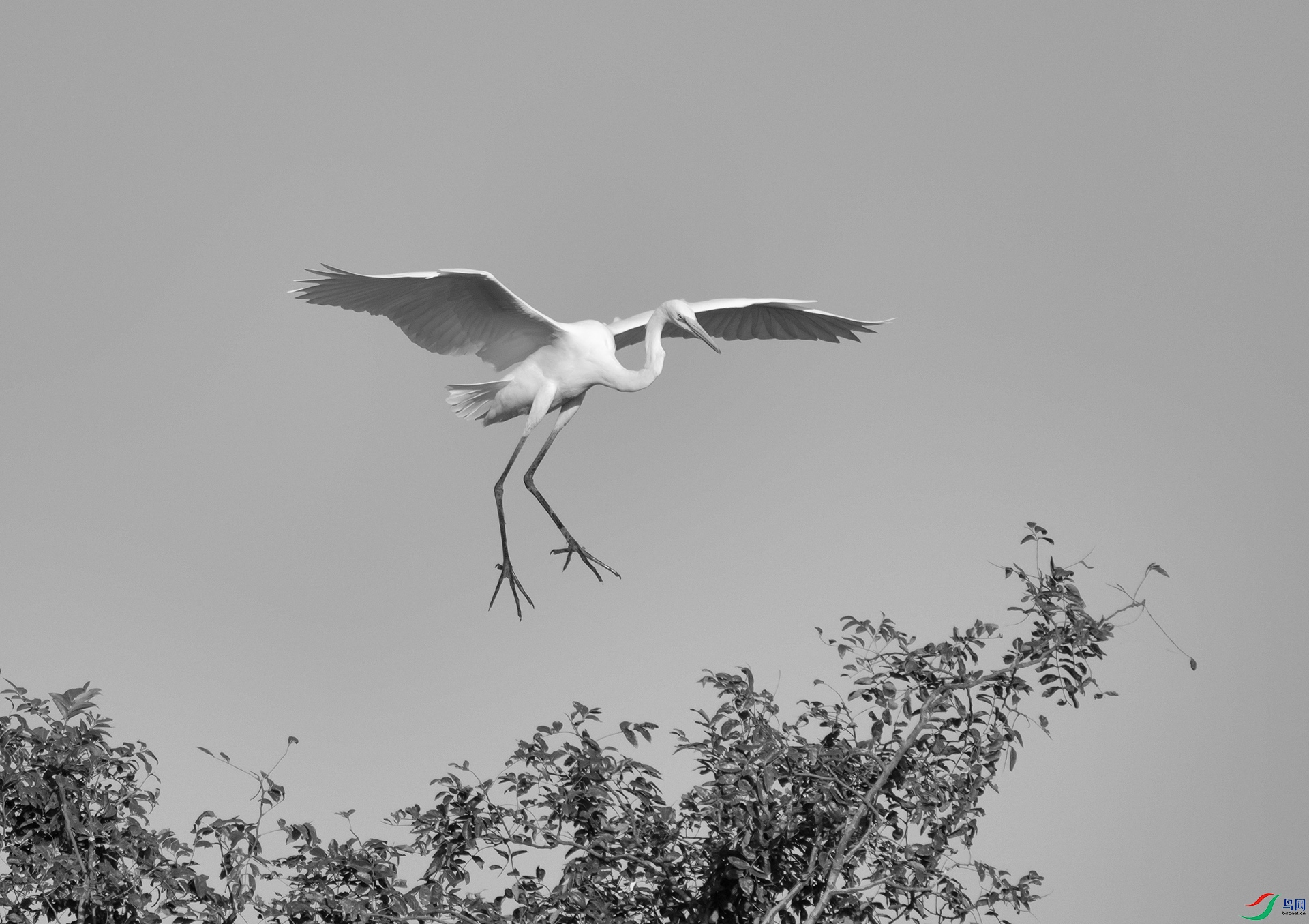 DSC00661 ����.jpg