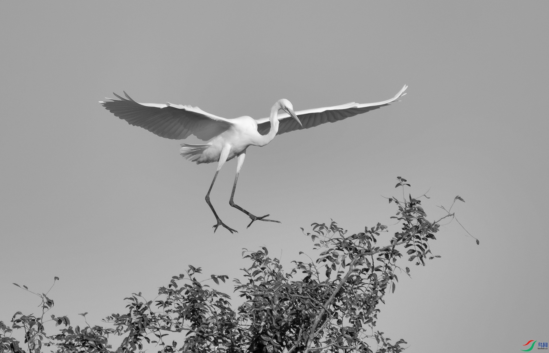 DSC00662 ����.jpg