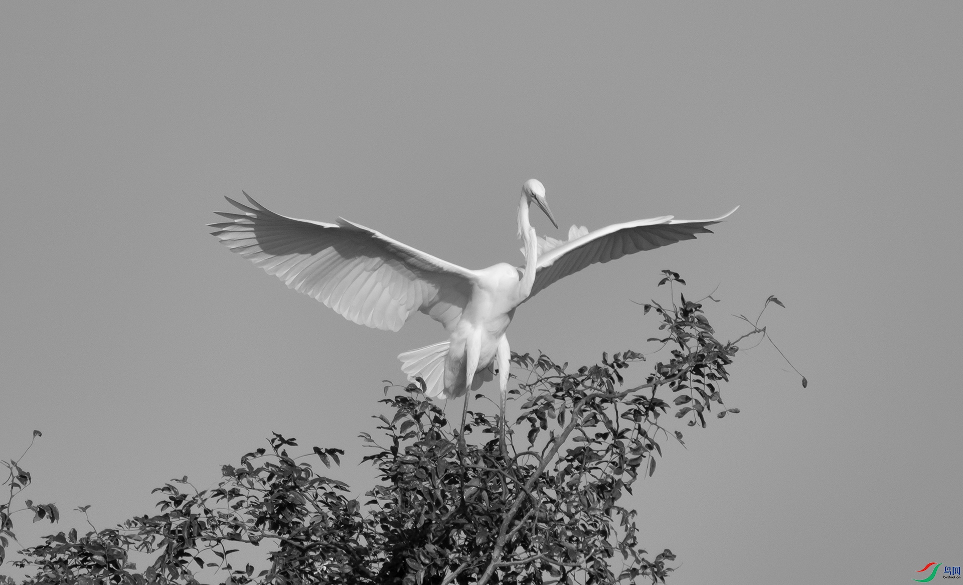 DSC00664 ����.jpg