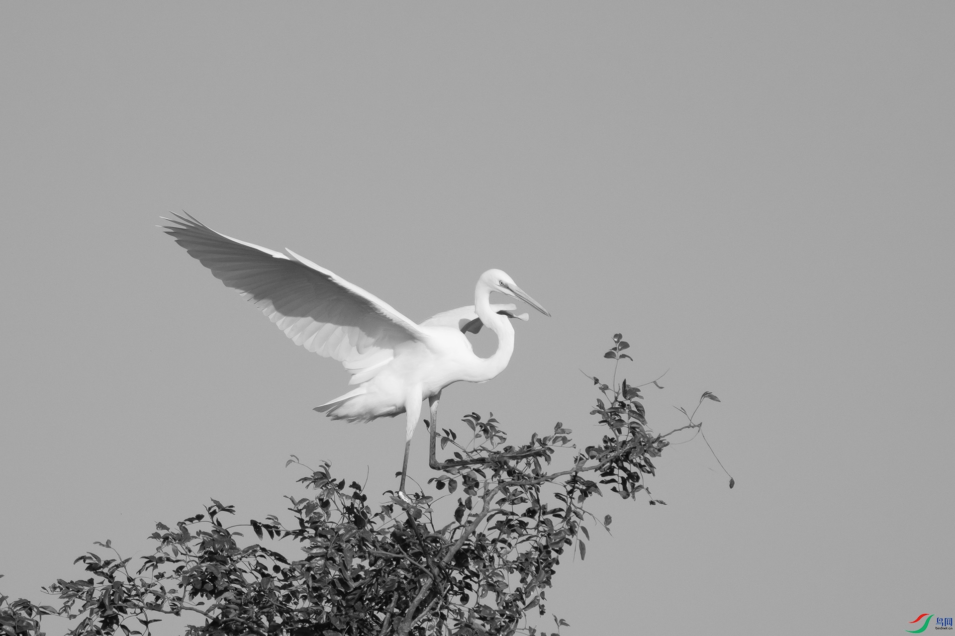 DSC00665 ����.jpg