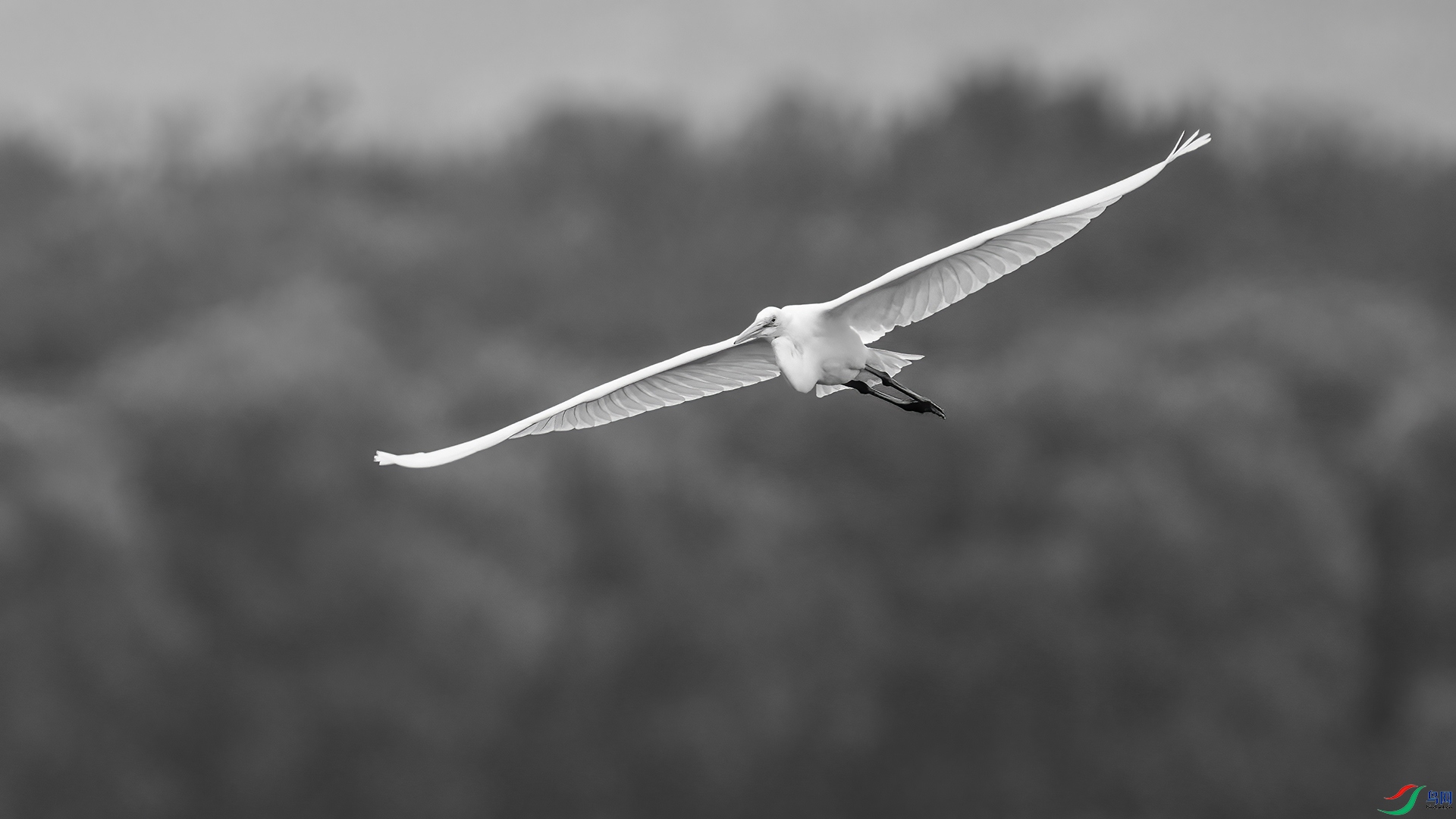 DSC07027 ����.jpg