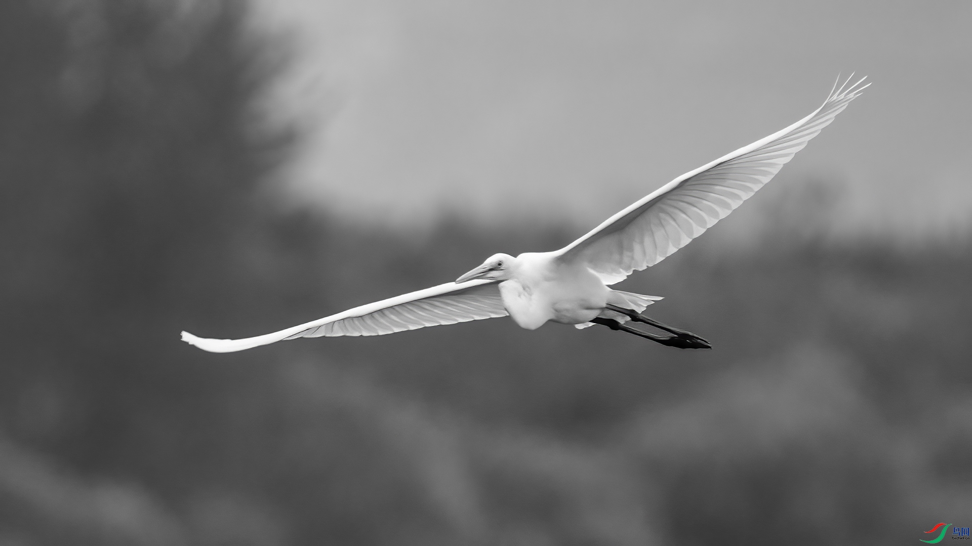 DSC07029 ����.jpg