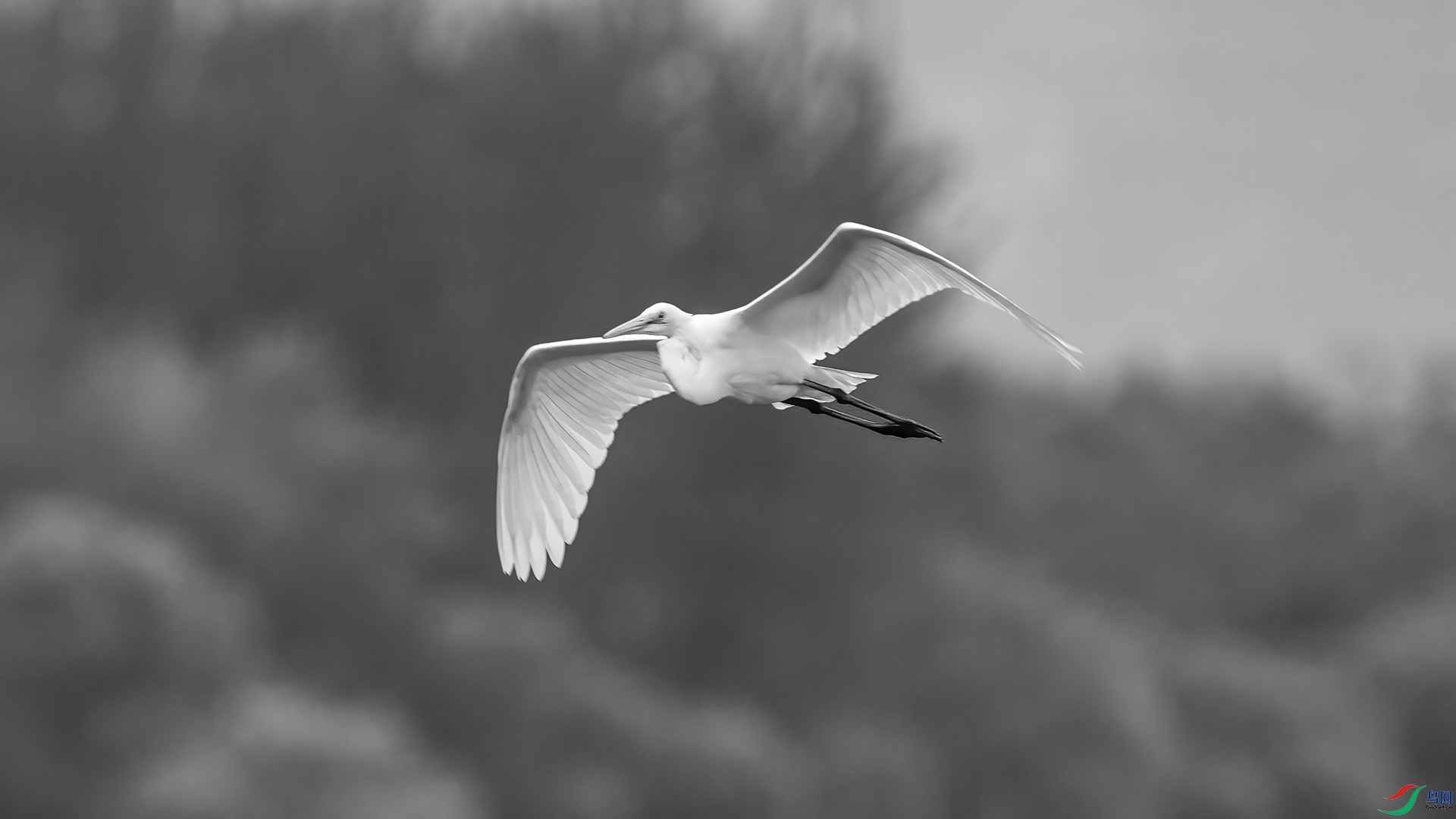 DSC07030 ����.jpg