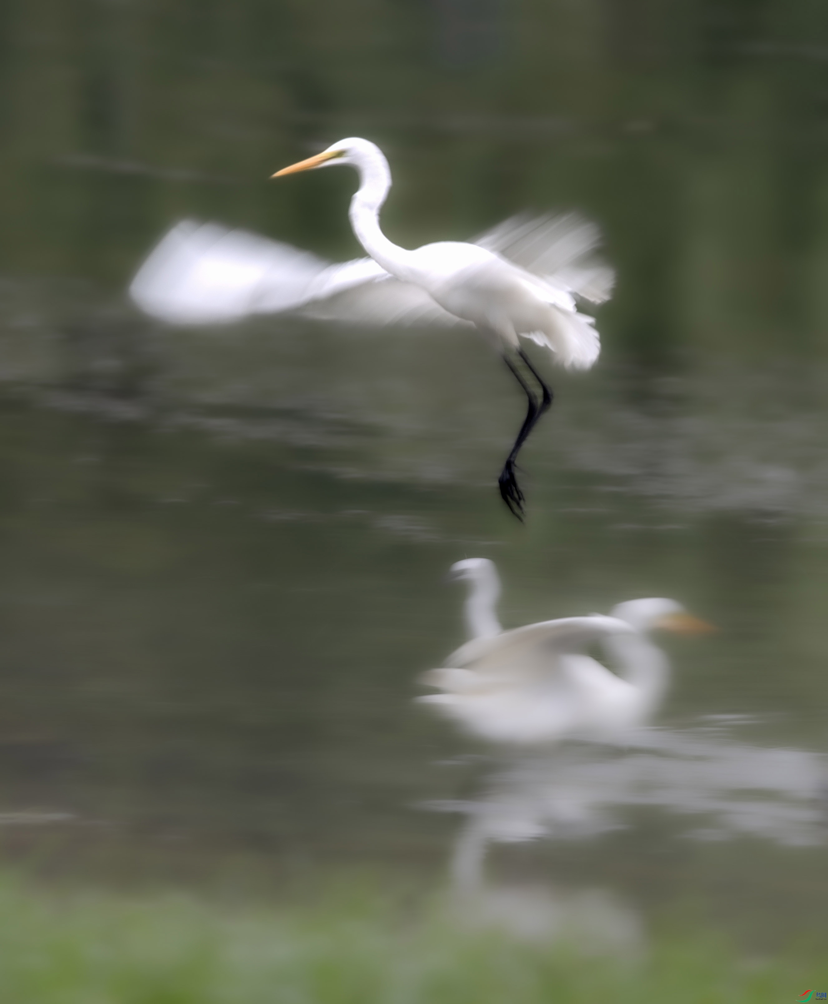 A79I3677 ����.jpg