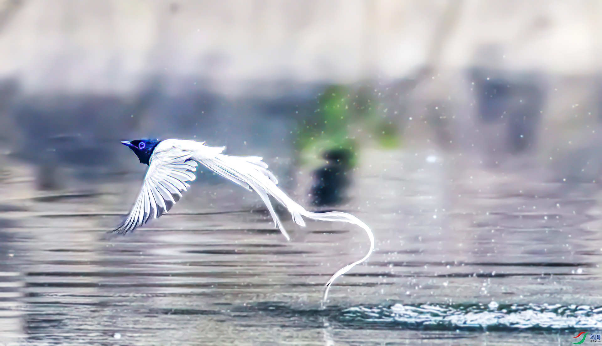 407A8368 ����-Sh-----1 .jpg