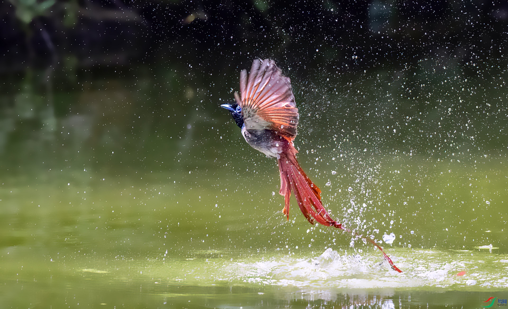 407A9145 ����-Sh---1 .jpg