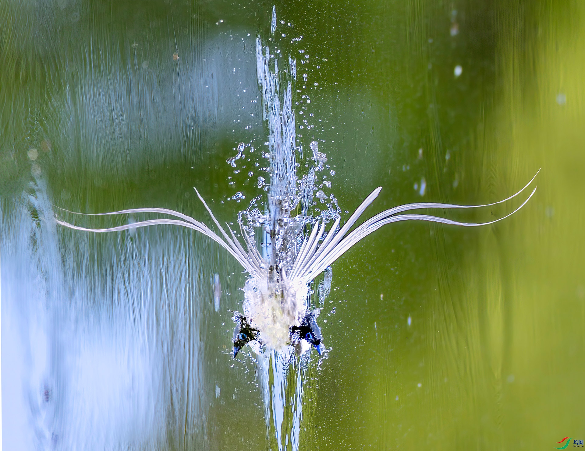 407A2014 ����-Sh------2 .jpg