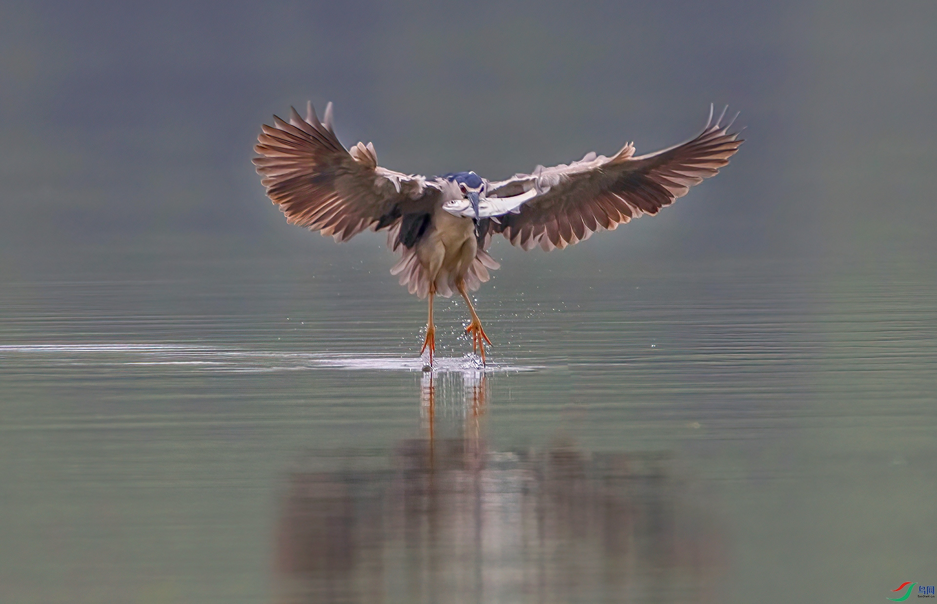 _07A5650 ����-Sh----1 .jpg