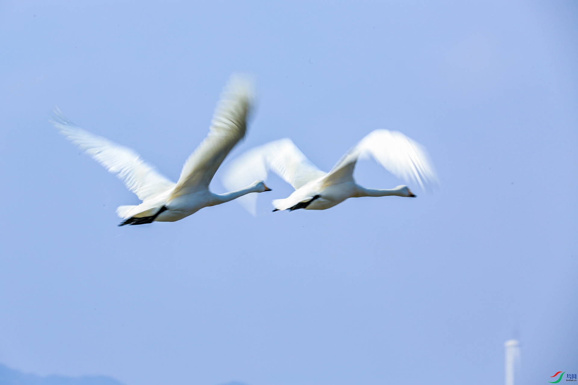 XT5A0035ɽ��9-21 .jpg