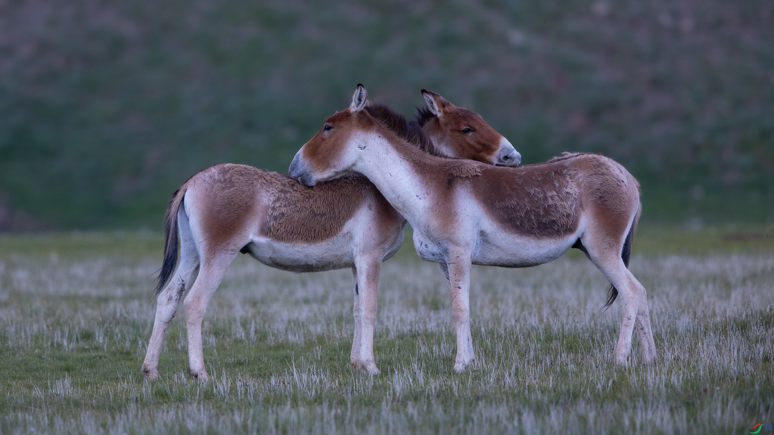 _O7A4806 ����444.jpg