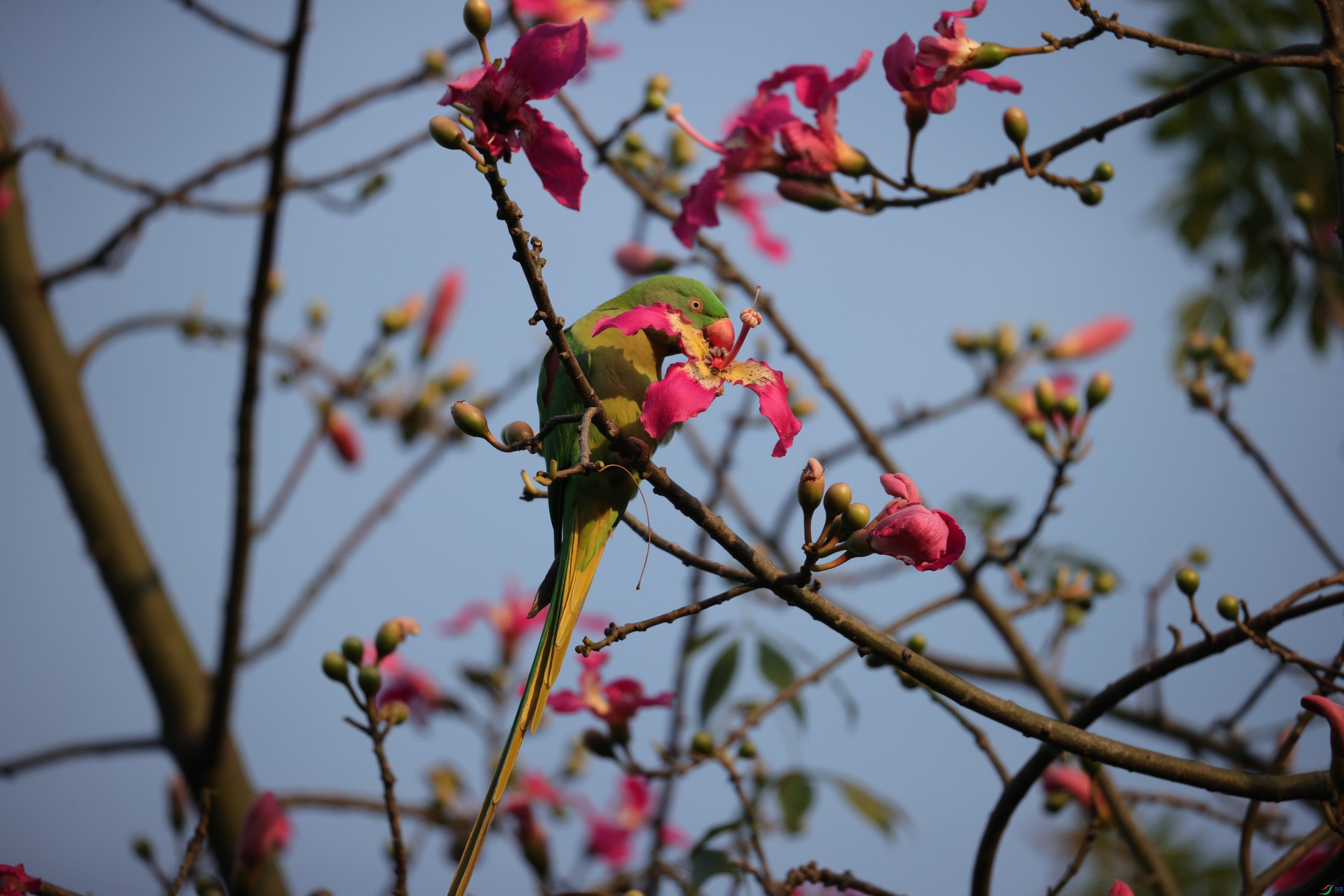 6809��ש����