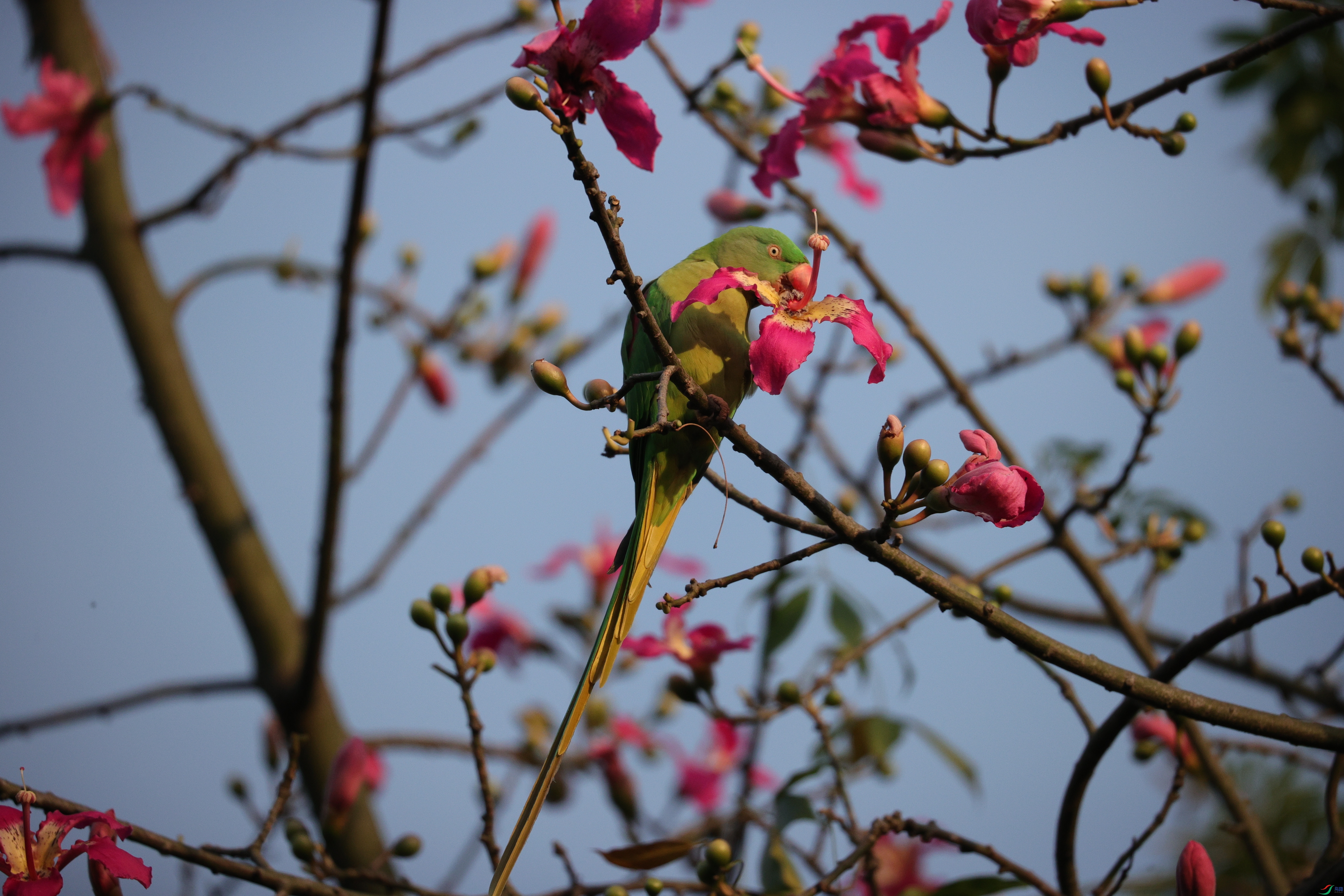 6813��ש����