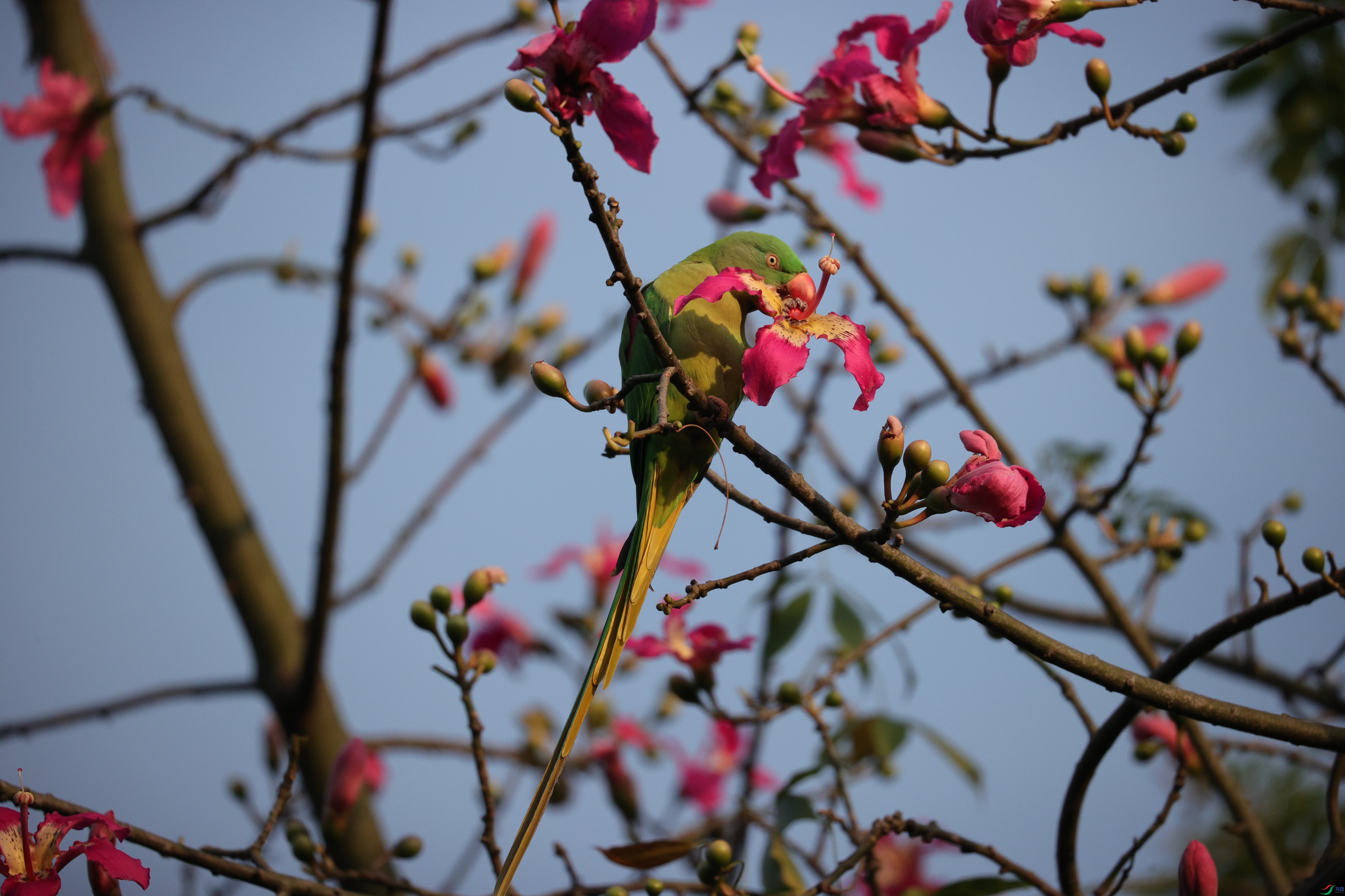 6814��ש����