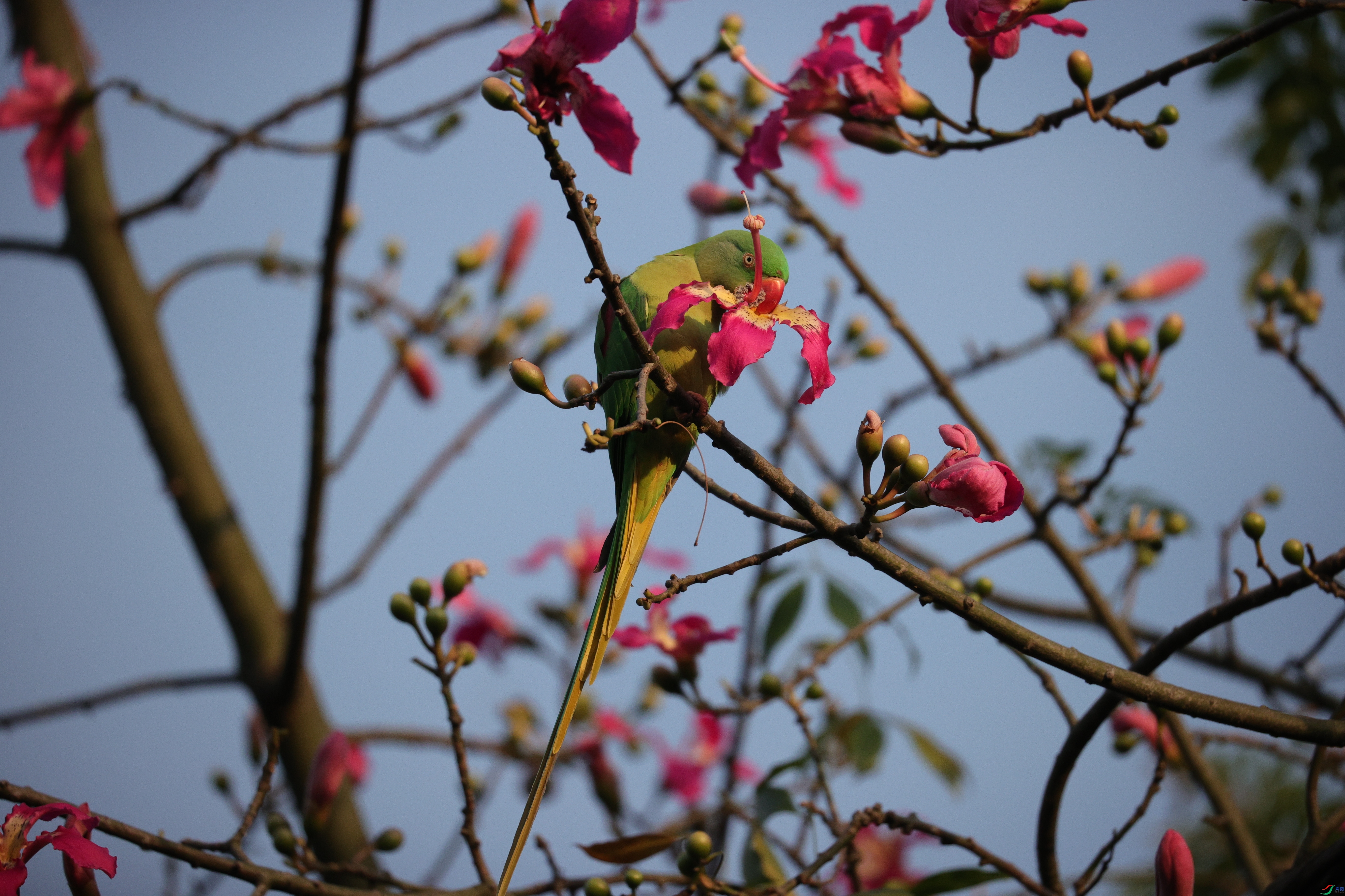 6819��ש����