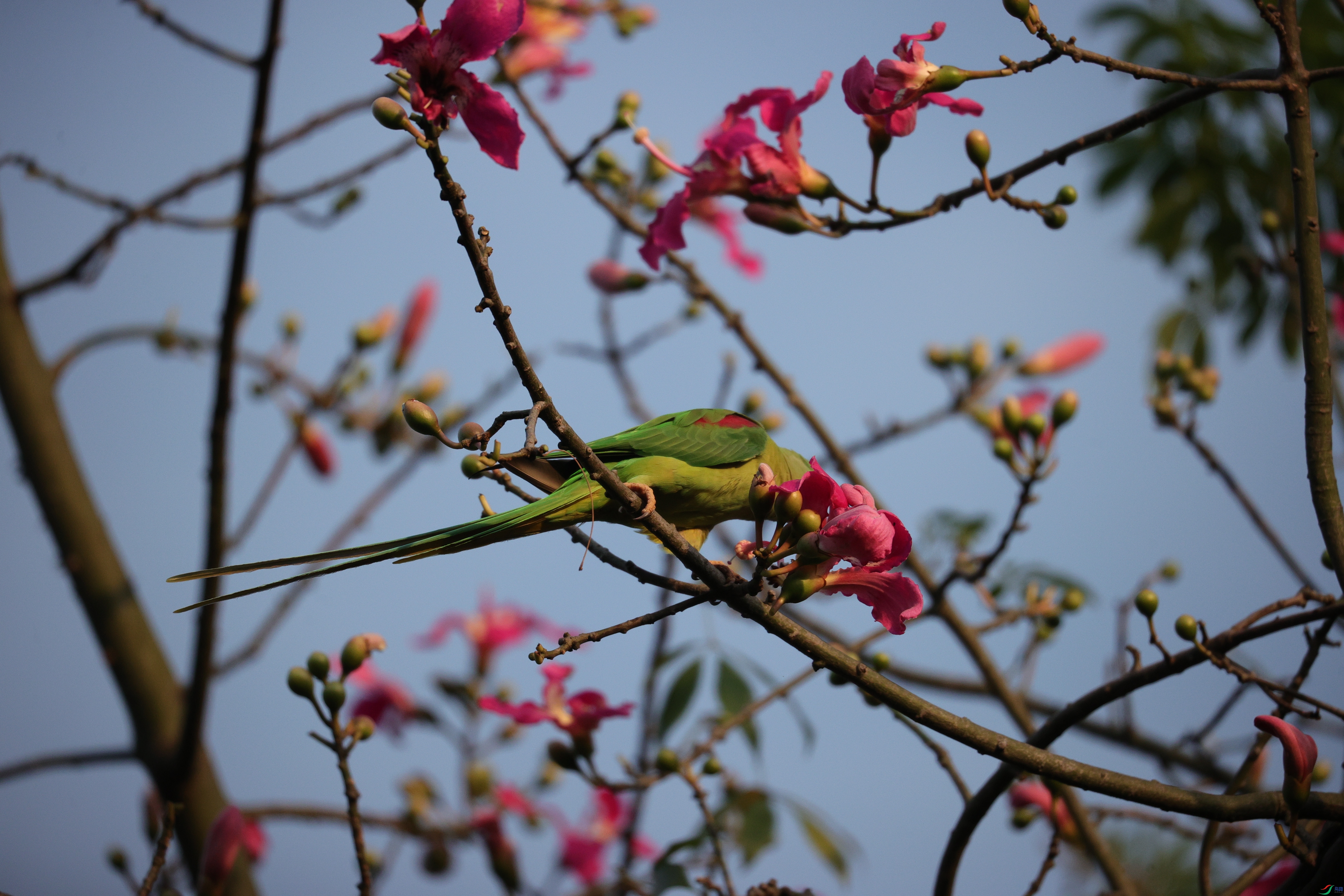 6824��ש����