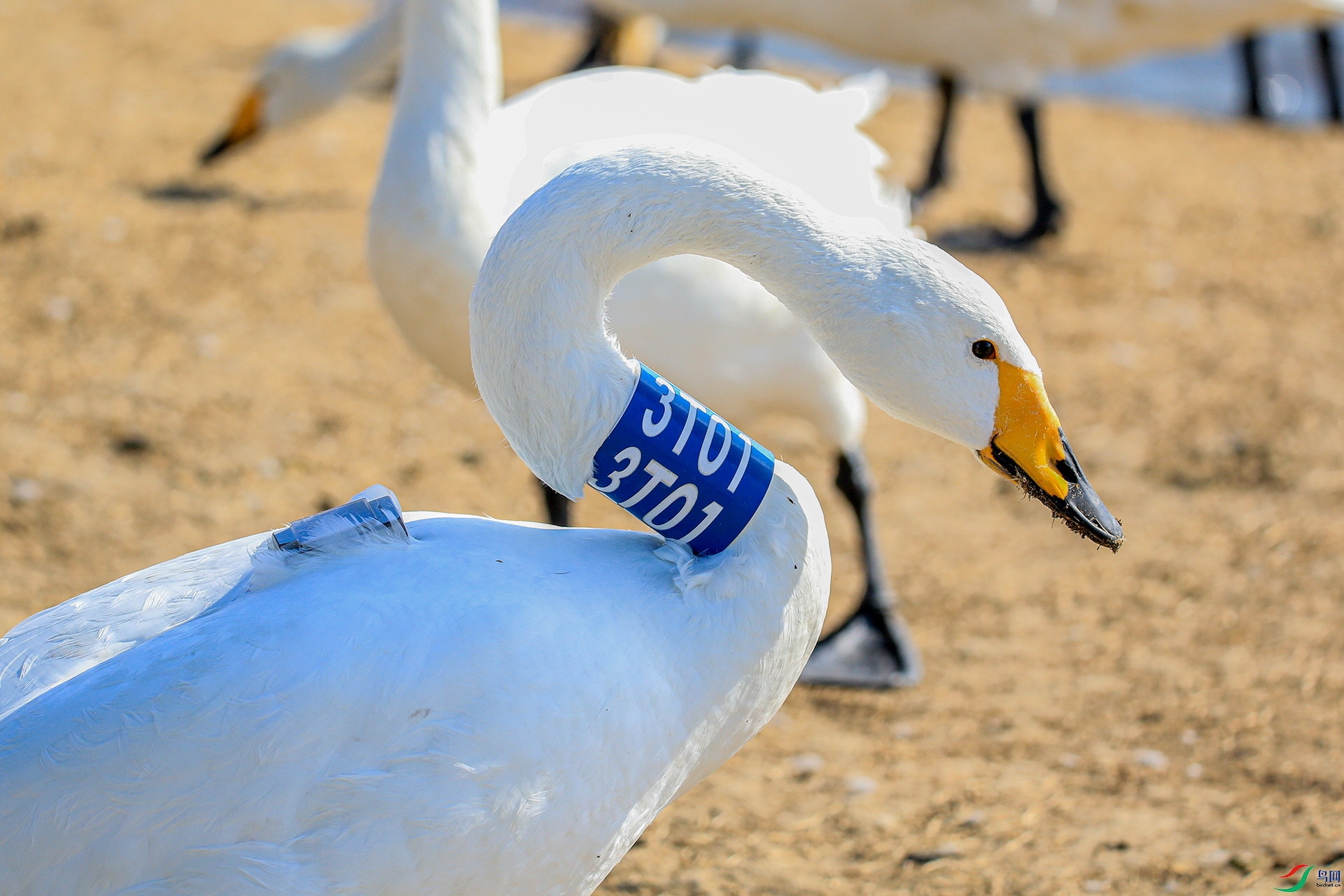 XT5A8777����9-21 .jpg