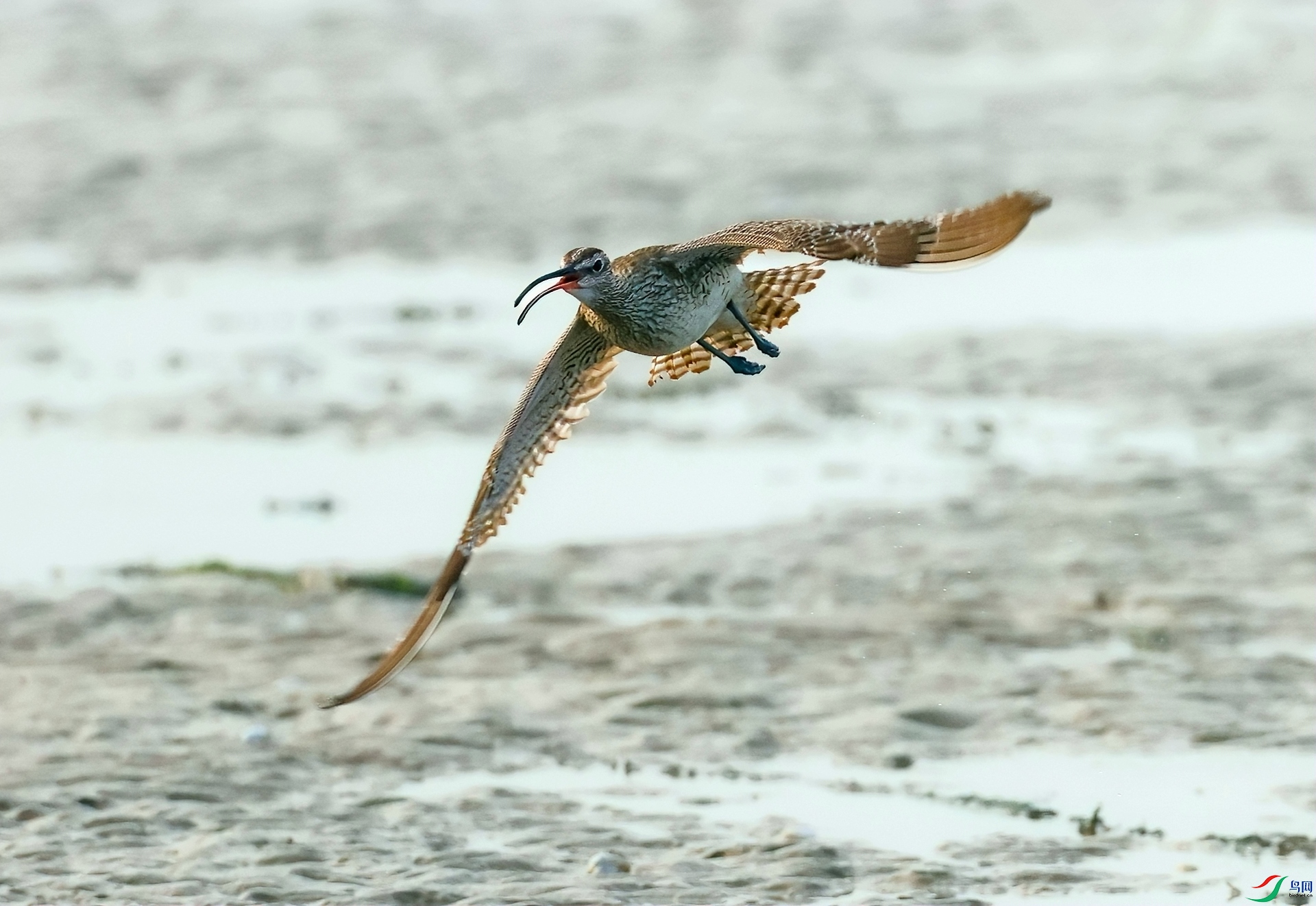 _05A0164 ����_����.jpg