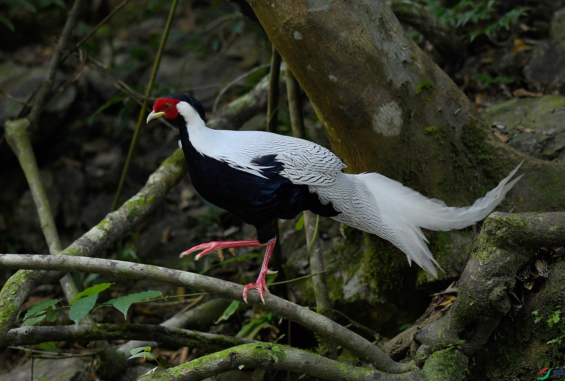 DSC_3395.jpg