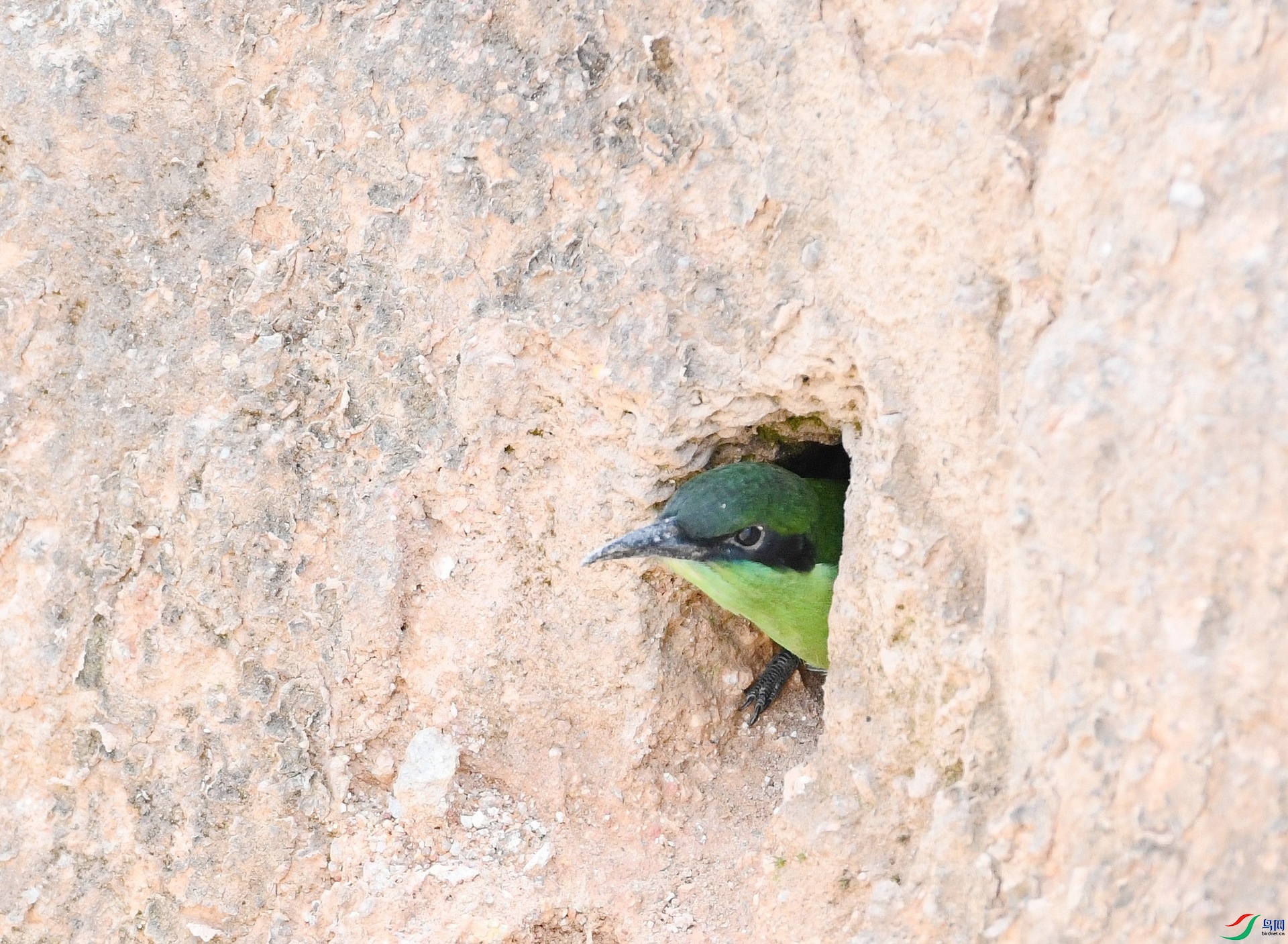 DSC_8761.jpg
