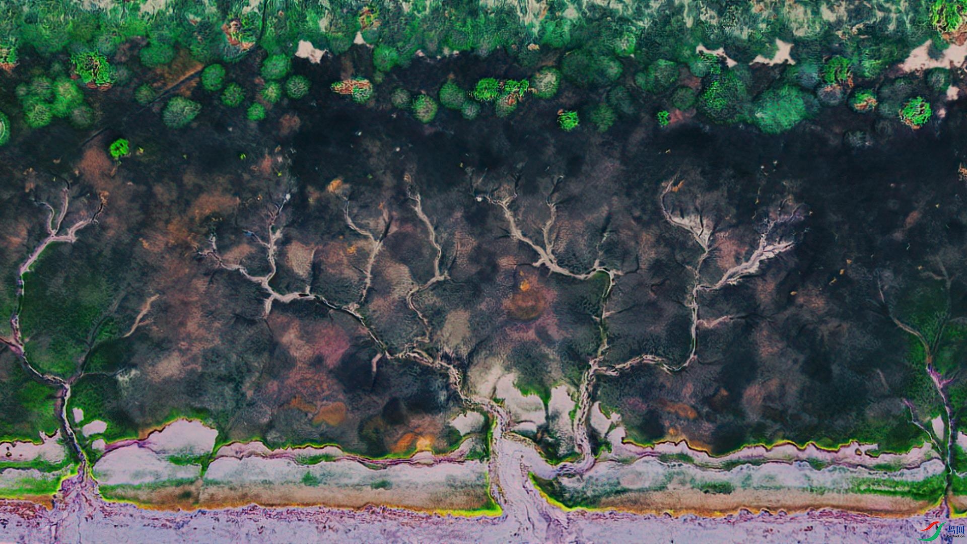 ��ɫ��ϫ��