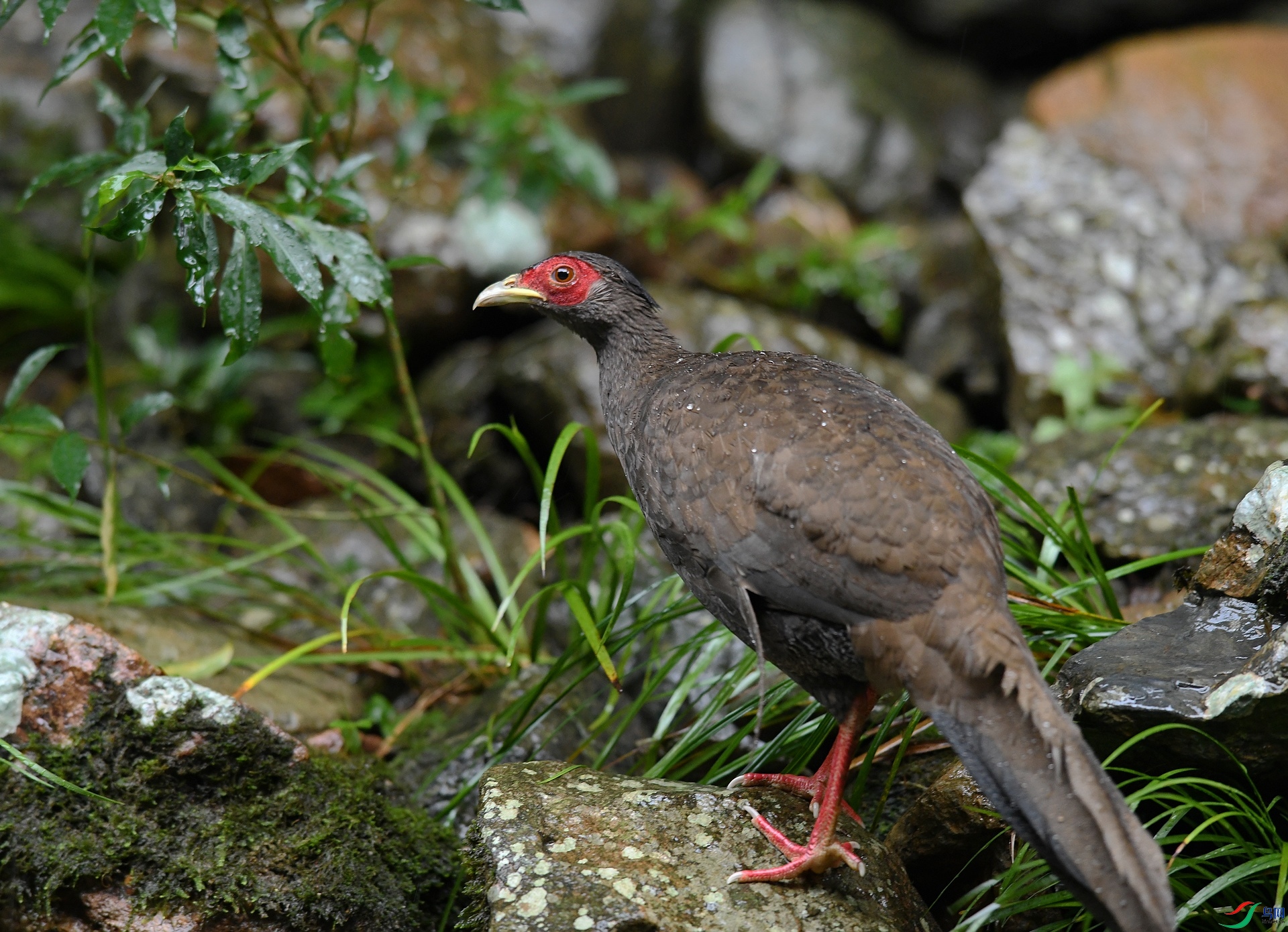 DSC_5856.jpg