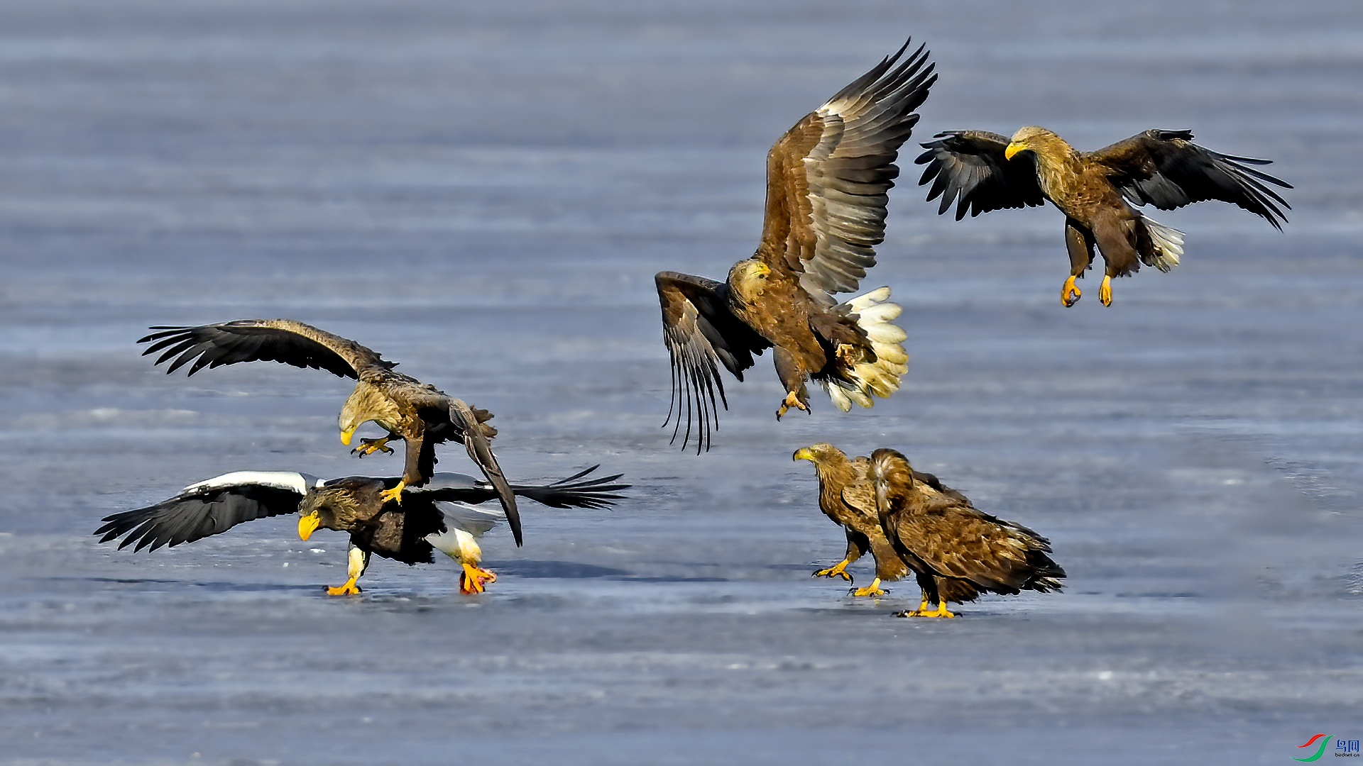 DSC_6mn590.jpg