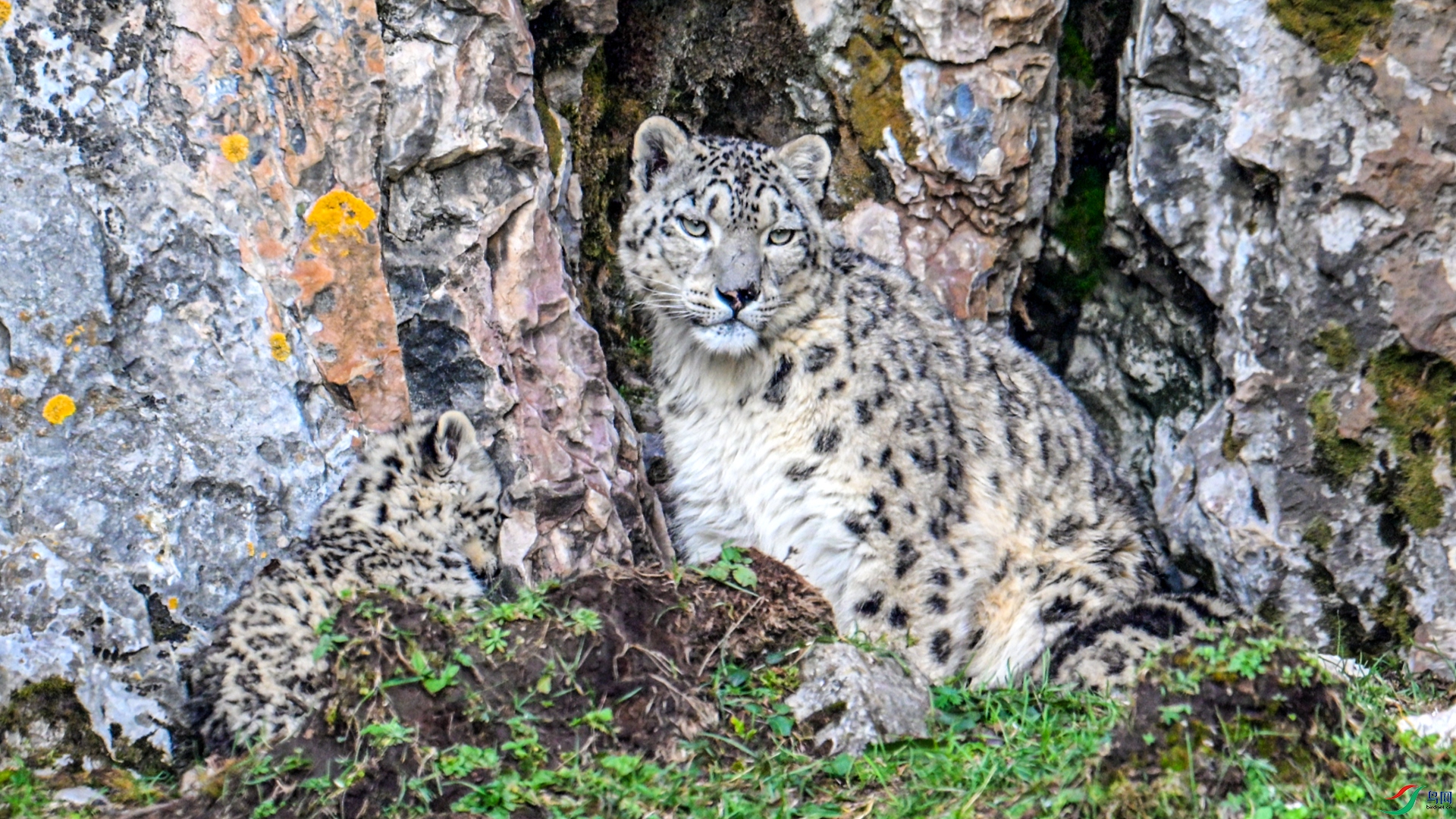 9��13�� (1)_����.jpg