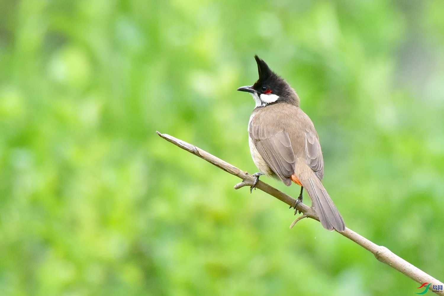 DSC_2733.JPG