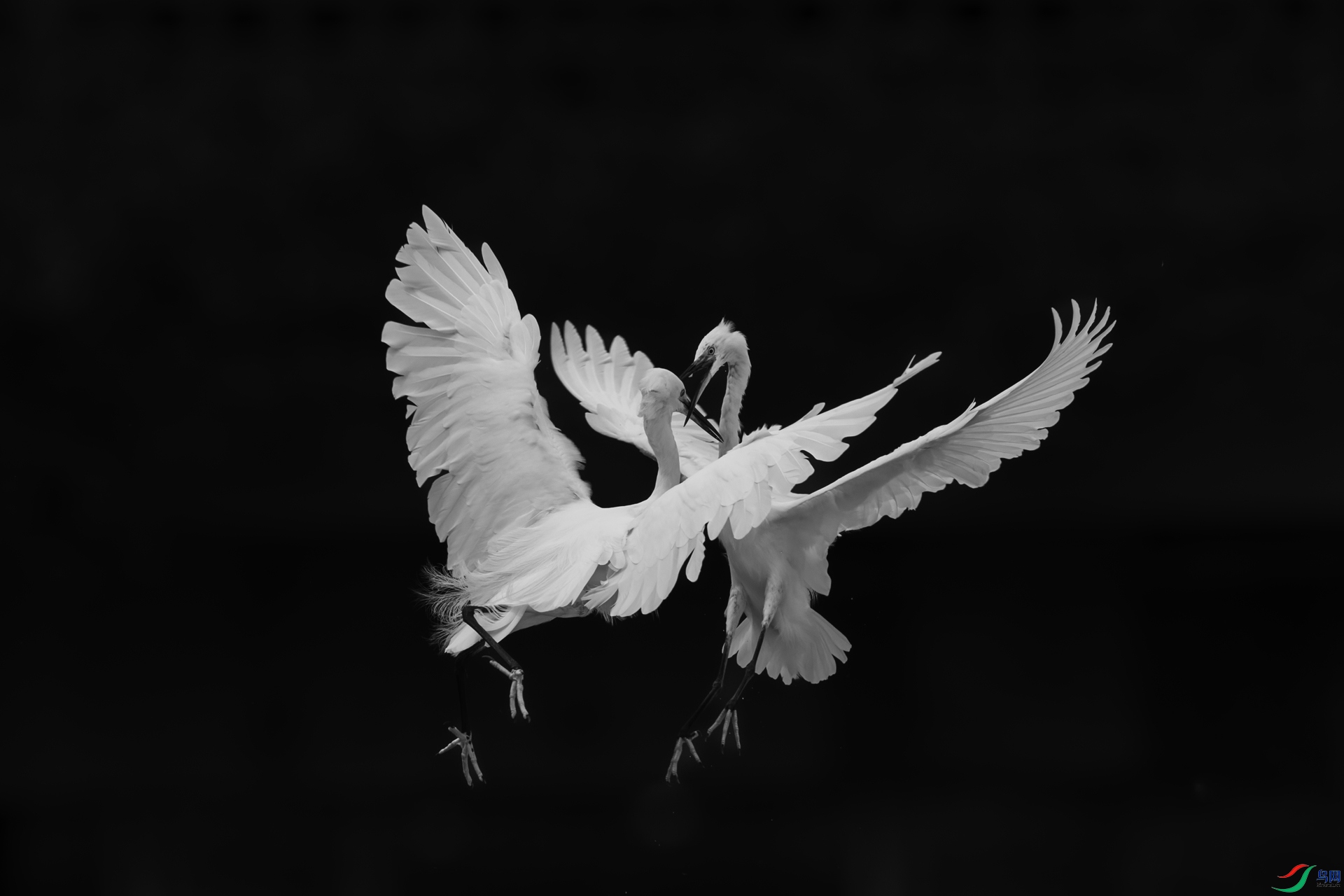 _R2I3624-CR2_DxO_DeepPRIME.jpg