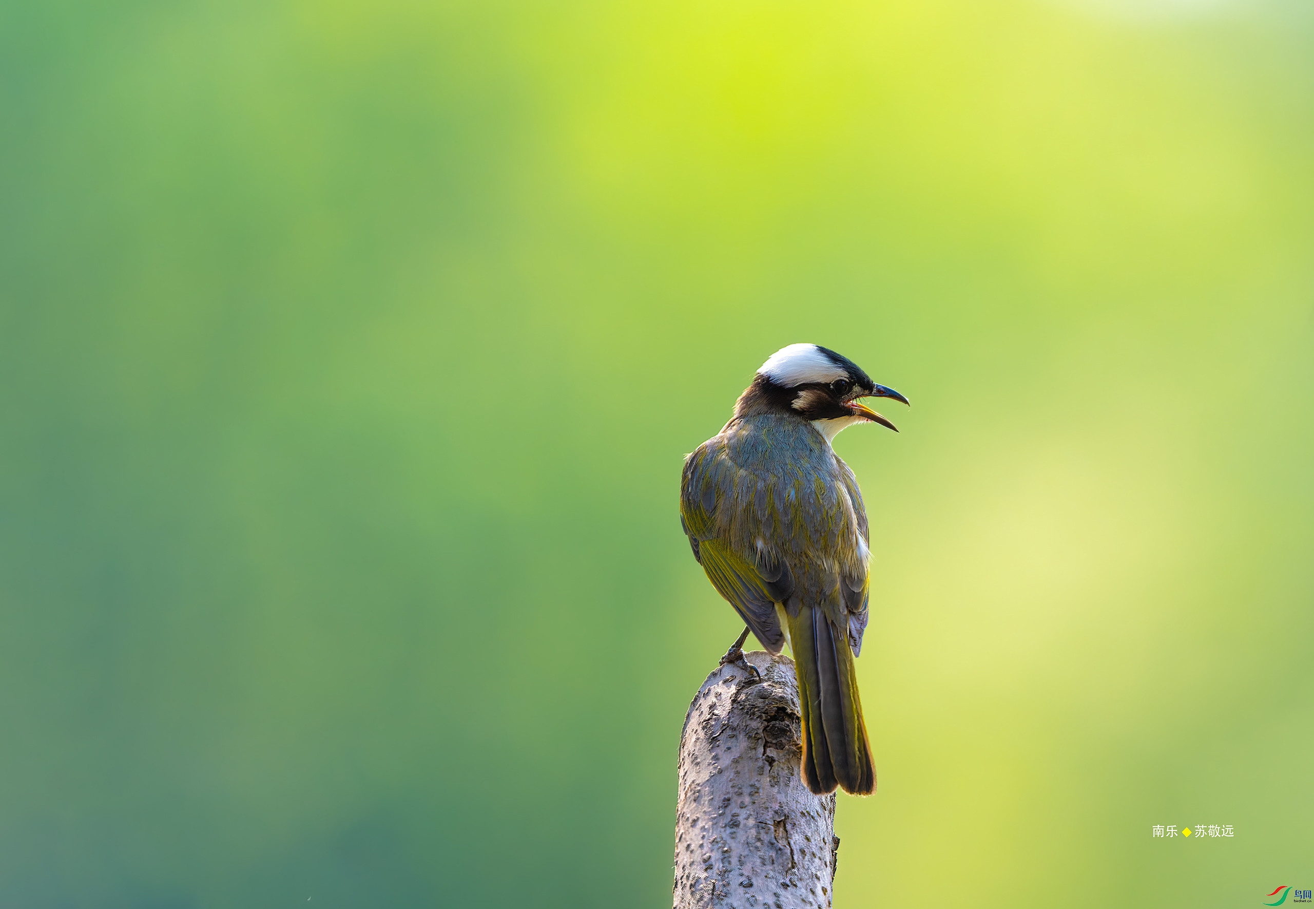 _DSC3156-(2)-DxO_С.jpg