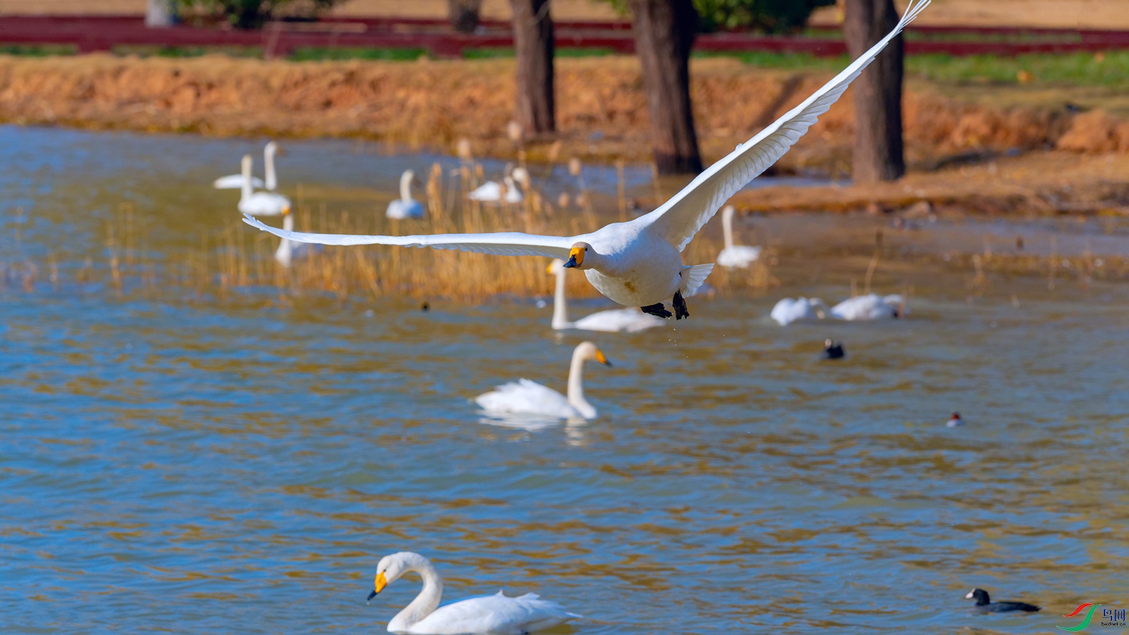 DSC_4276_DxOa.jpg