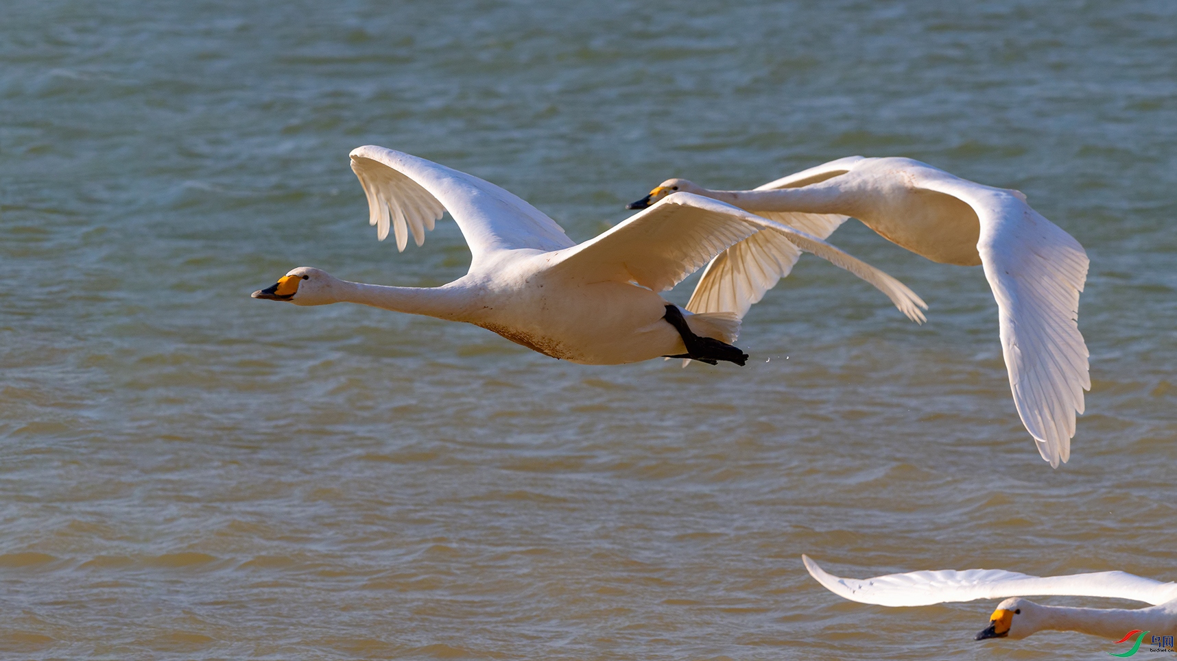 DSC_4128_DxOa.jpg