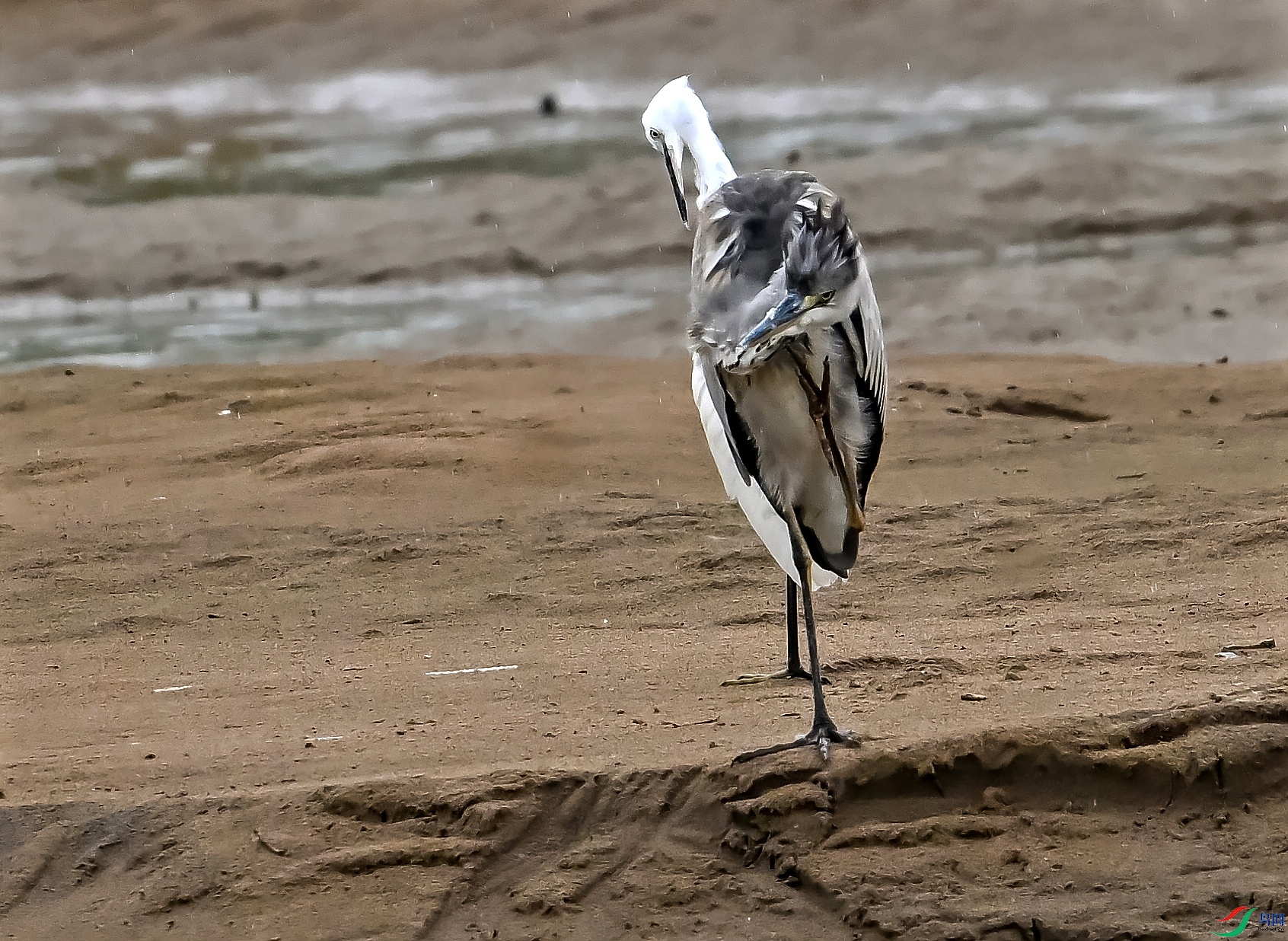 DSC_0585�ص�.jpg
