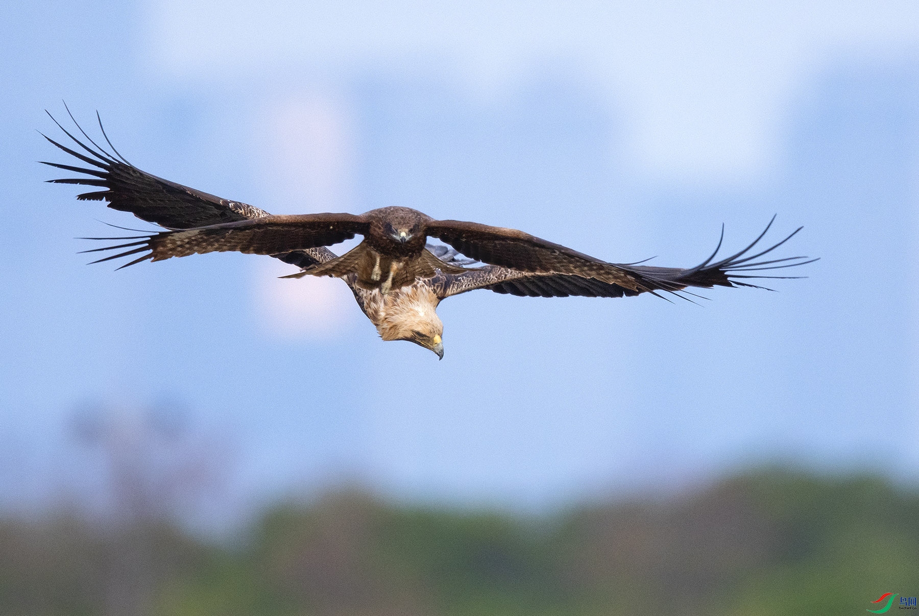 ��740.jpg
