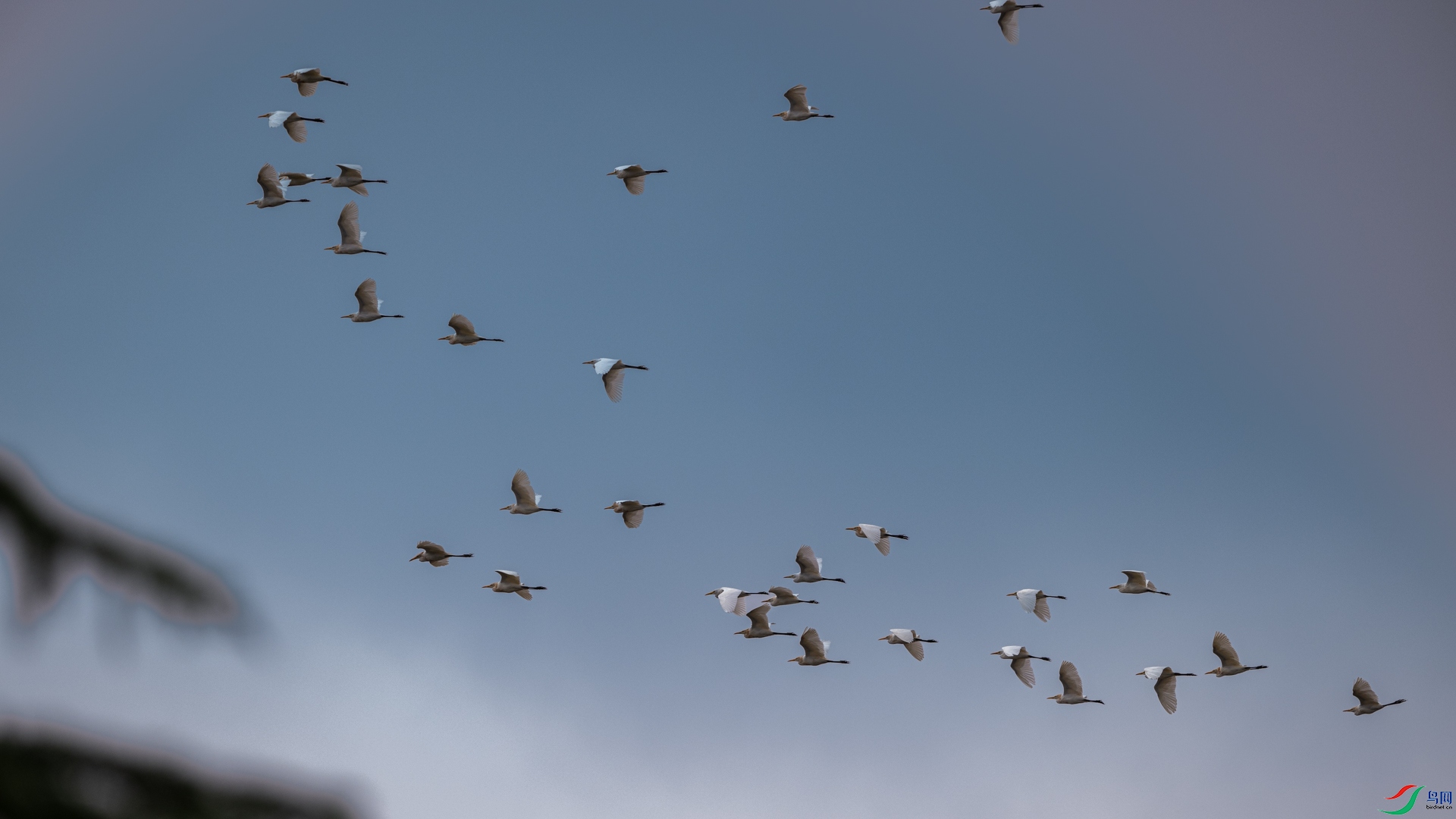 DSC_6917.jpg