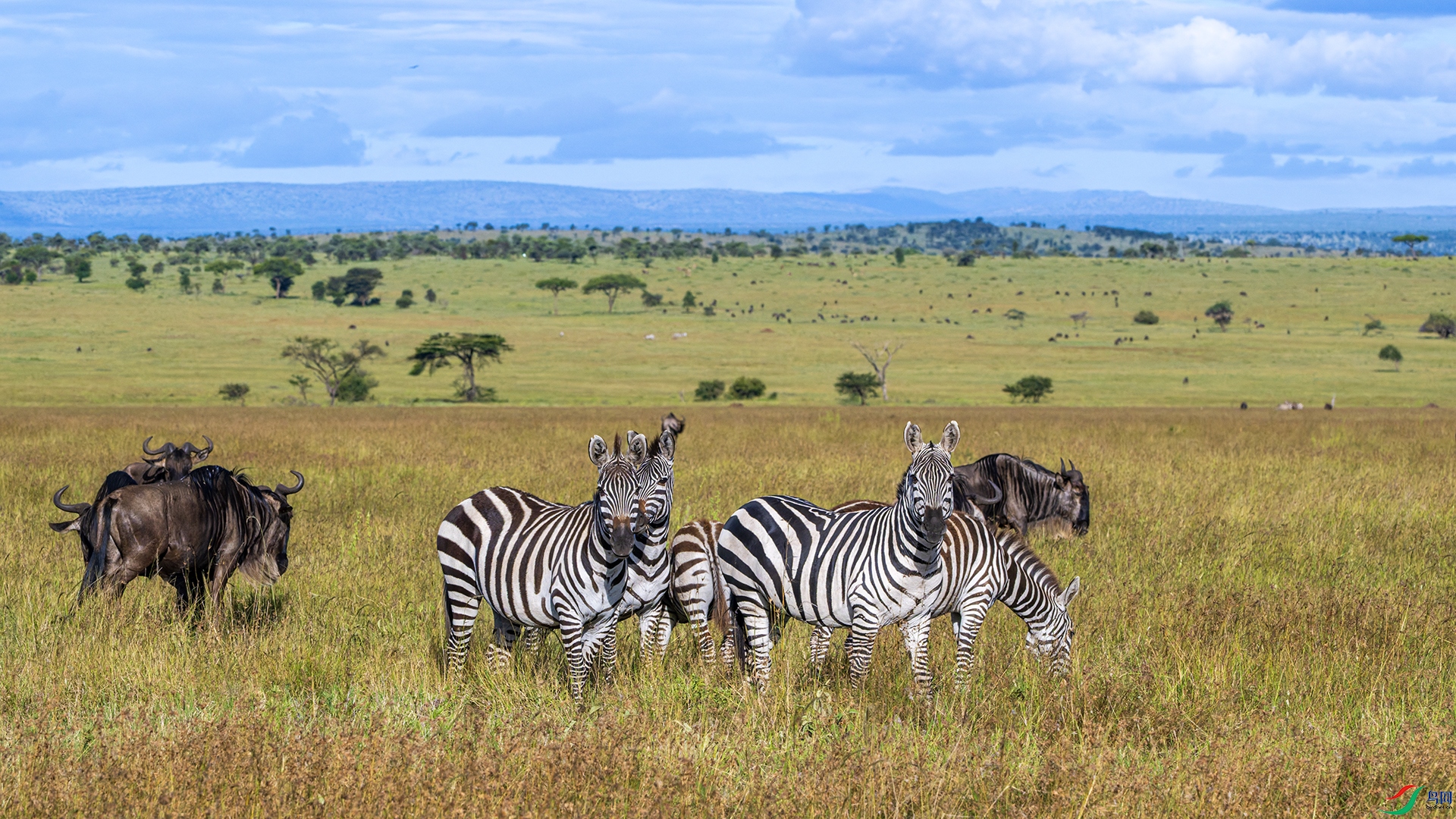 DSC_2691-DxO_DeepPRIME 3.jpg