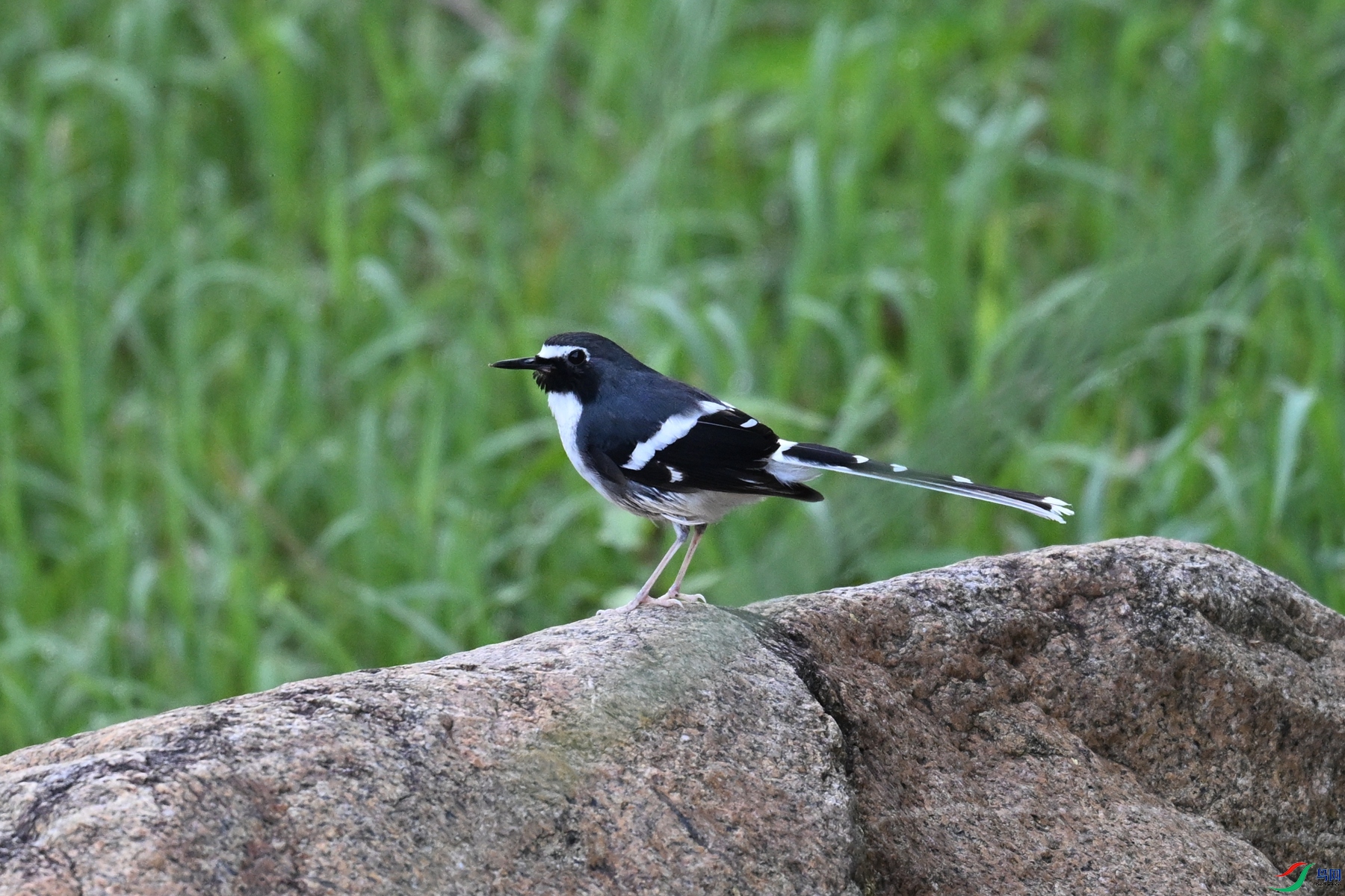 DSC_9086.JPG