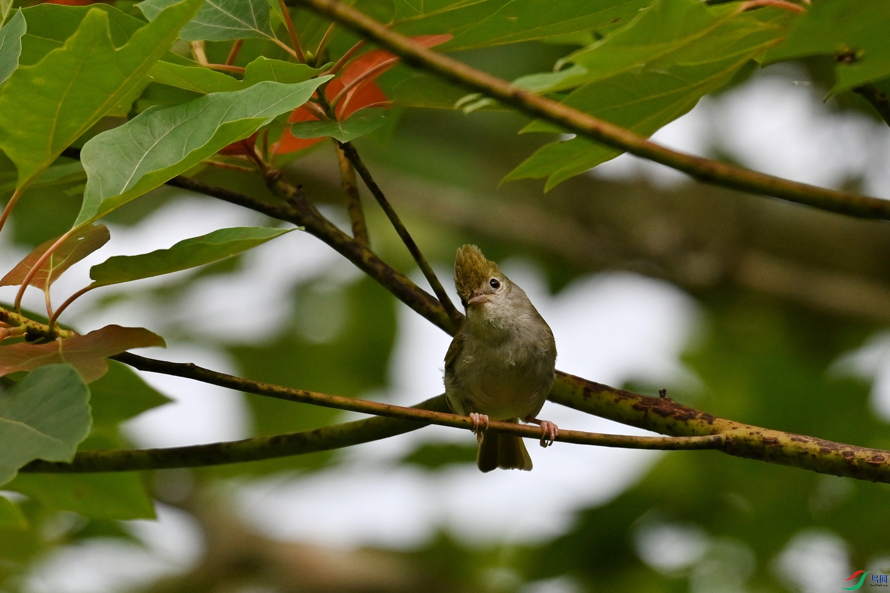 DSC_9115.JPG