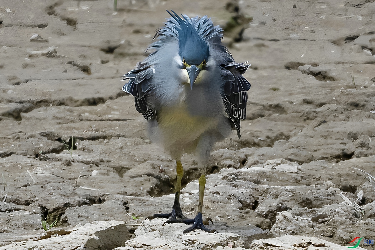 DSC_5961=.jpg