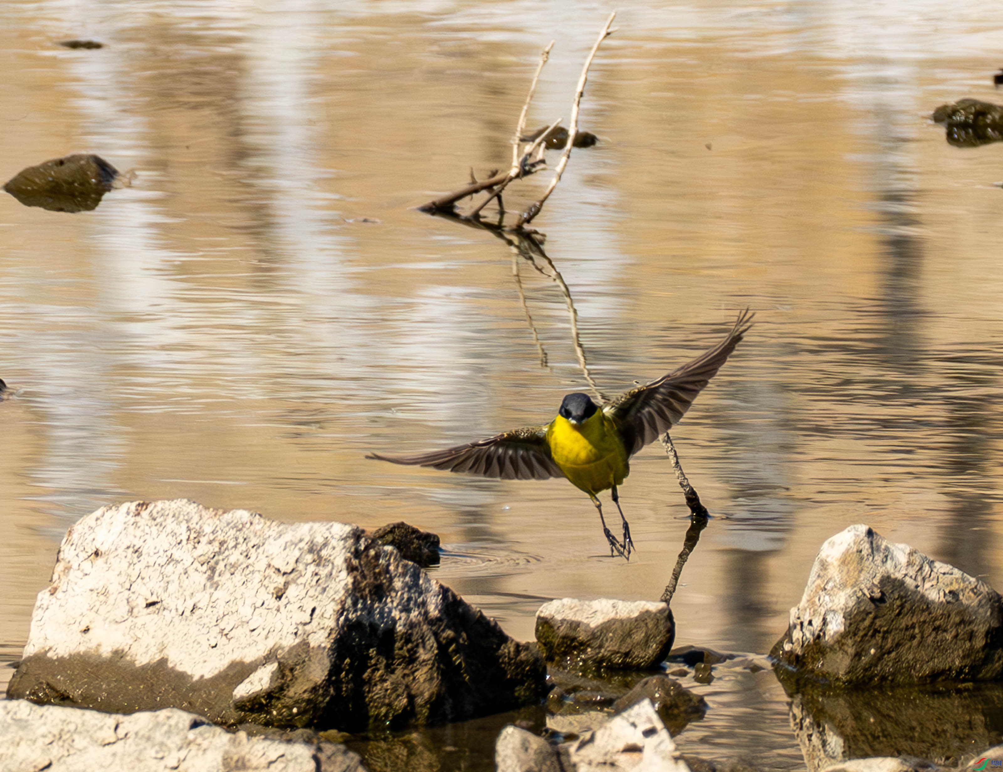 �����n�_ (11 - 12).jpg