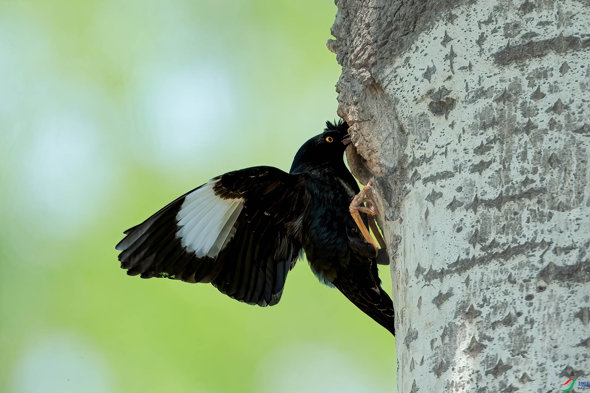AQ4P0151-1.jpg