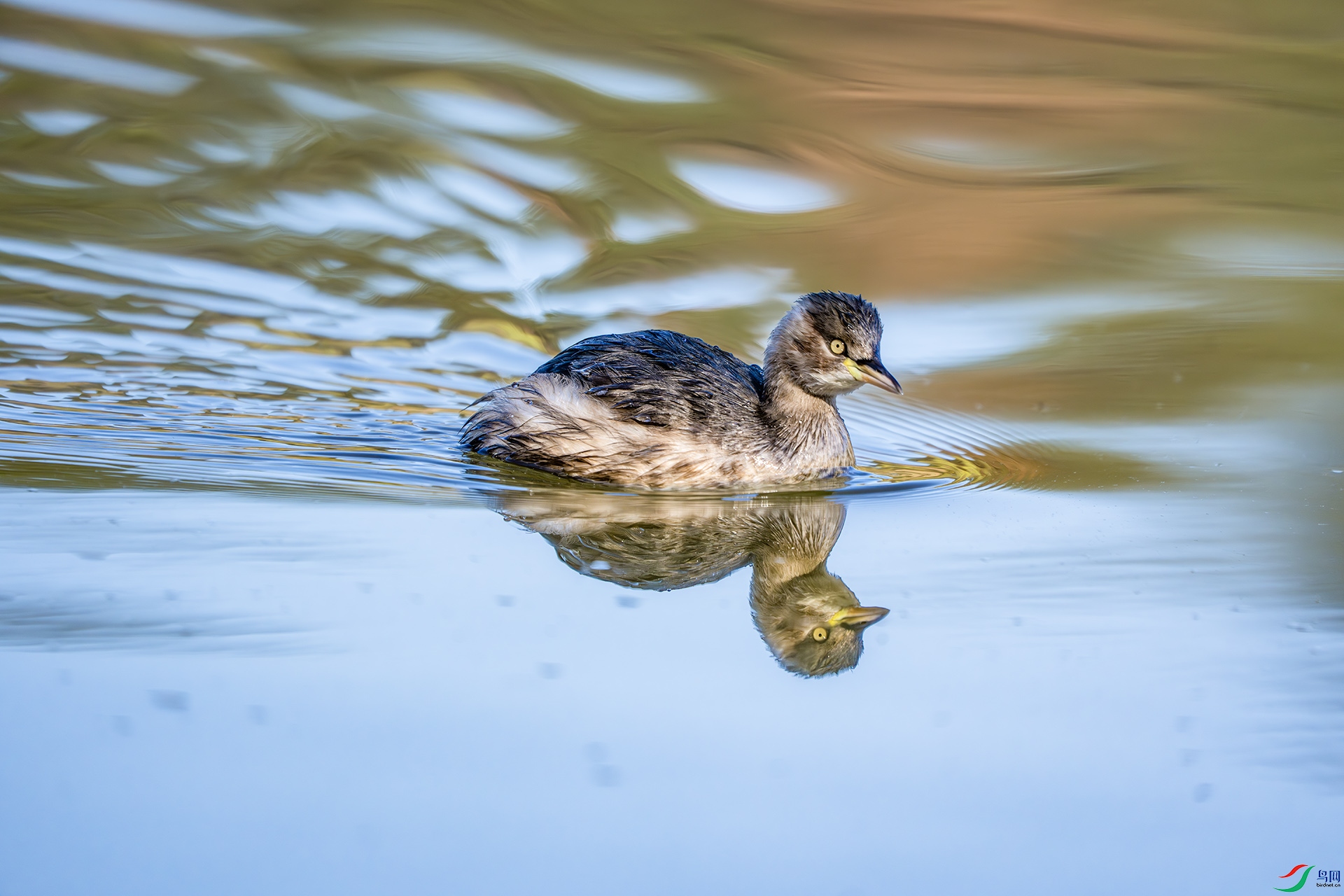 DSC08324-����ǿ-NR ����.jpg