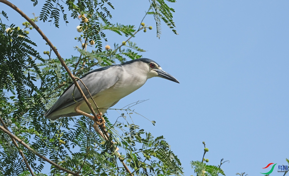 DSCF4197.1.jpg